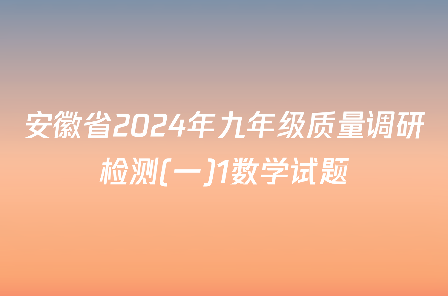 安徽省2024年九年级质量调研检测(一)1数学试题