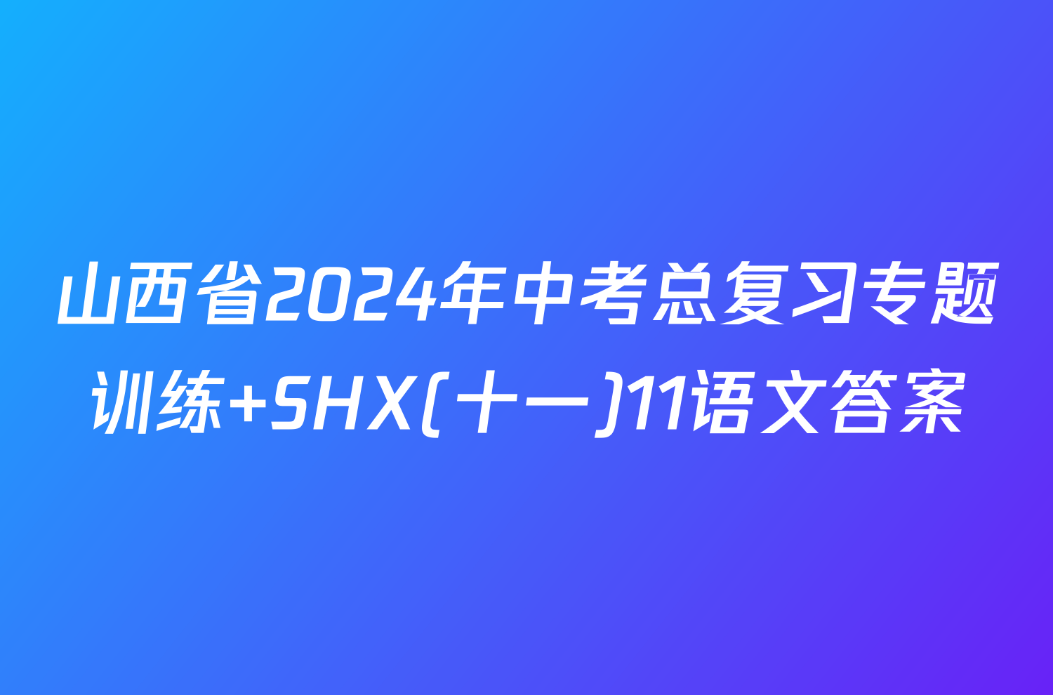 山西省2024年中考总复习专题训练 SHX(十一)11语文答案