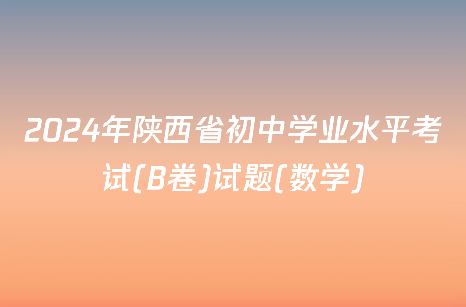 2024年陕西省初中学业水平考试(B卷)试题(数学)