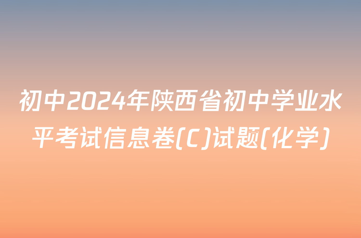 初中2024年陕西省初中学业水平考试信息卷(C)试题(化学)