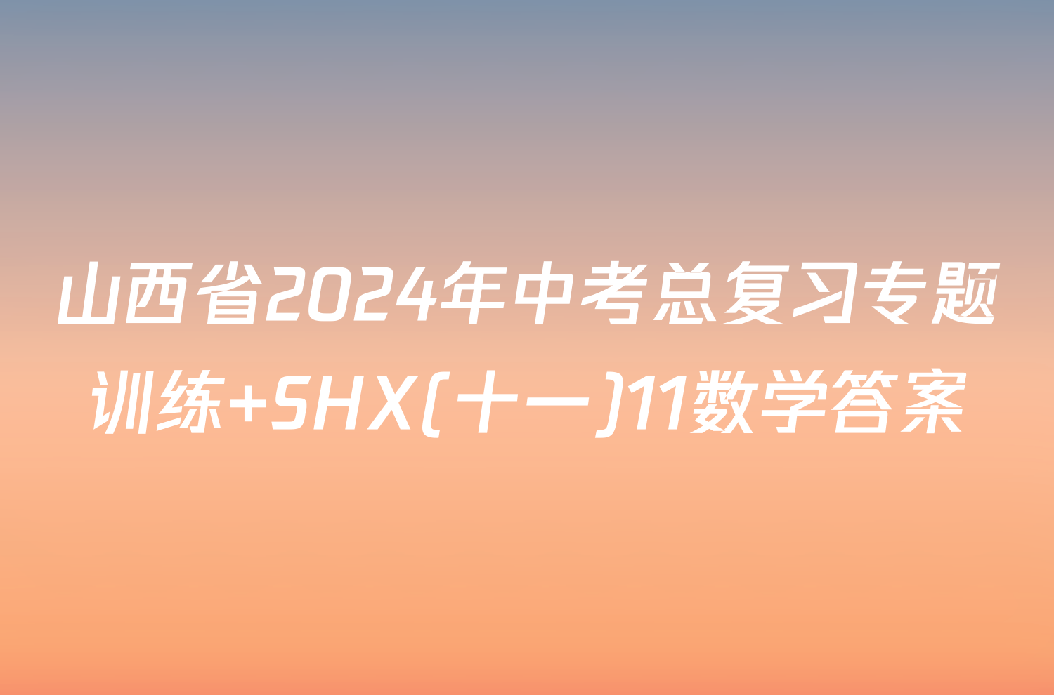 山西省2024年中考总复习专题训练 SHX(十一)11数学答案