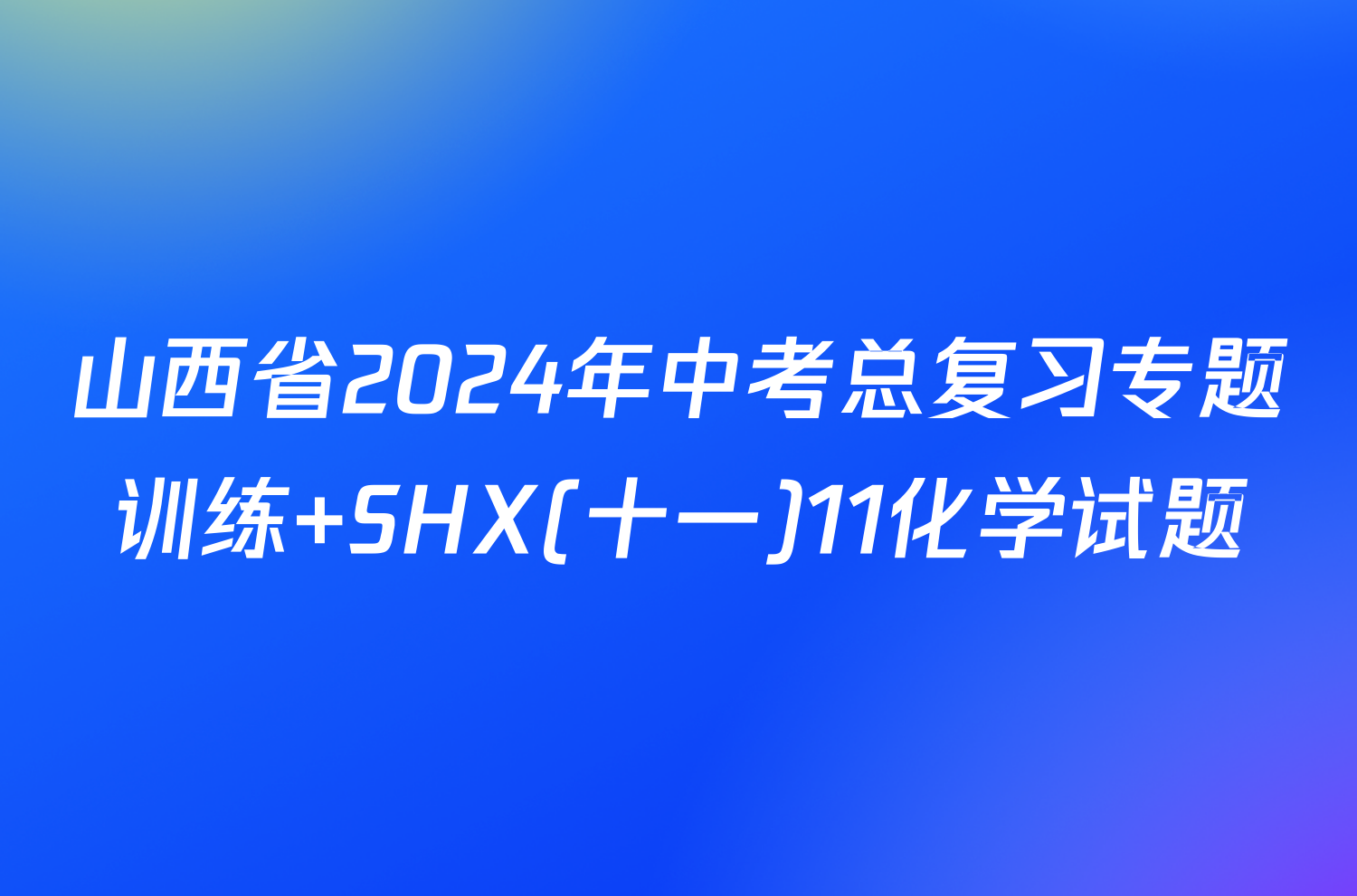 山西省2024年中考总复习专题训练 SHX(十一)11化学试题