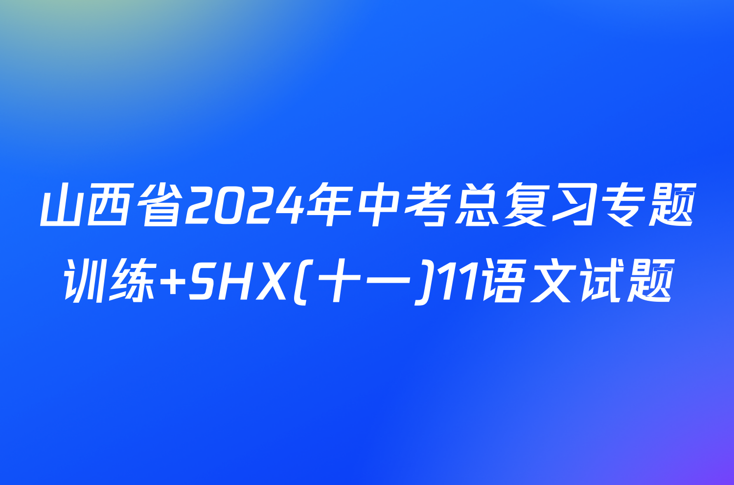山西省2024年中考总复习专题训练 SHX(十一)11语文试题