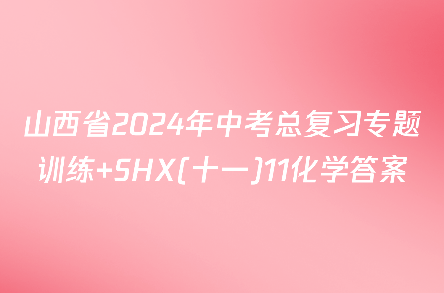 山西省2024年中考总复习专题训练 SHX(十一)11化学答案