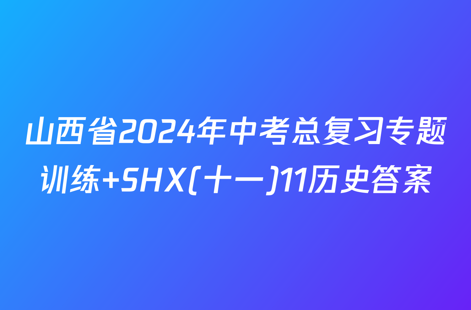 山西省2024年中考总复习专题训练 SHX(十一)11历史答案