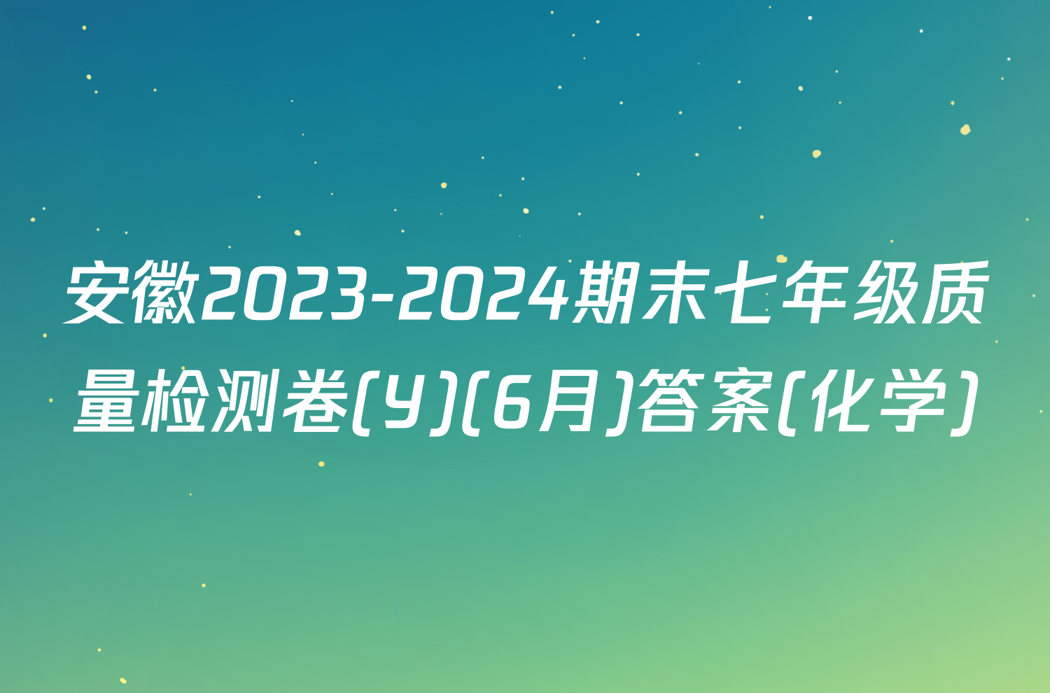 安徽2023-2024期末七年级质量检测卷(Y)(6月)答案(化学)