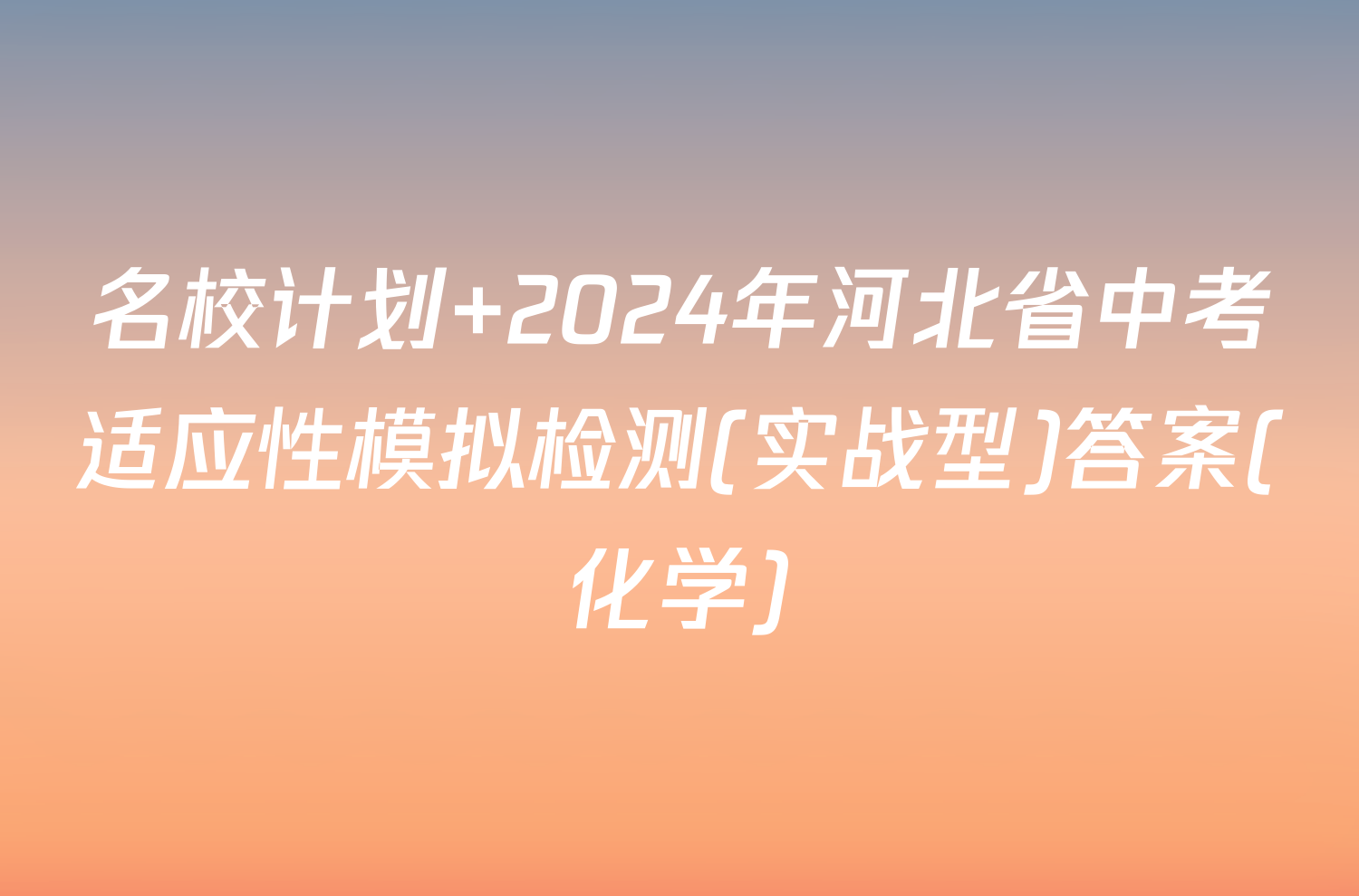 名校计划 2024年河北省中考适应性模拟检测(实战型)答案(化学)