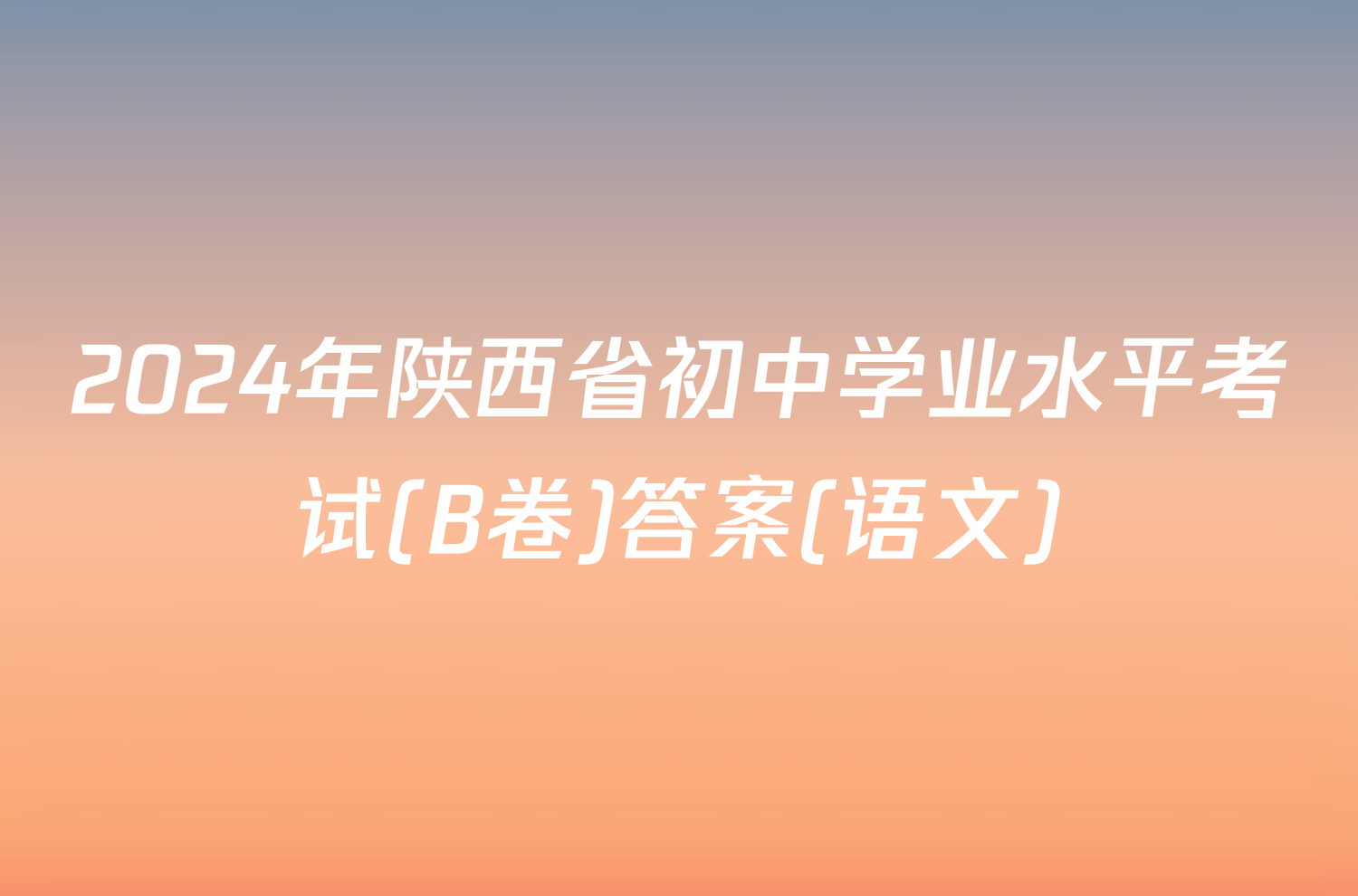 2024年陕西省初中学业水平考试(B卷)答案(语文)