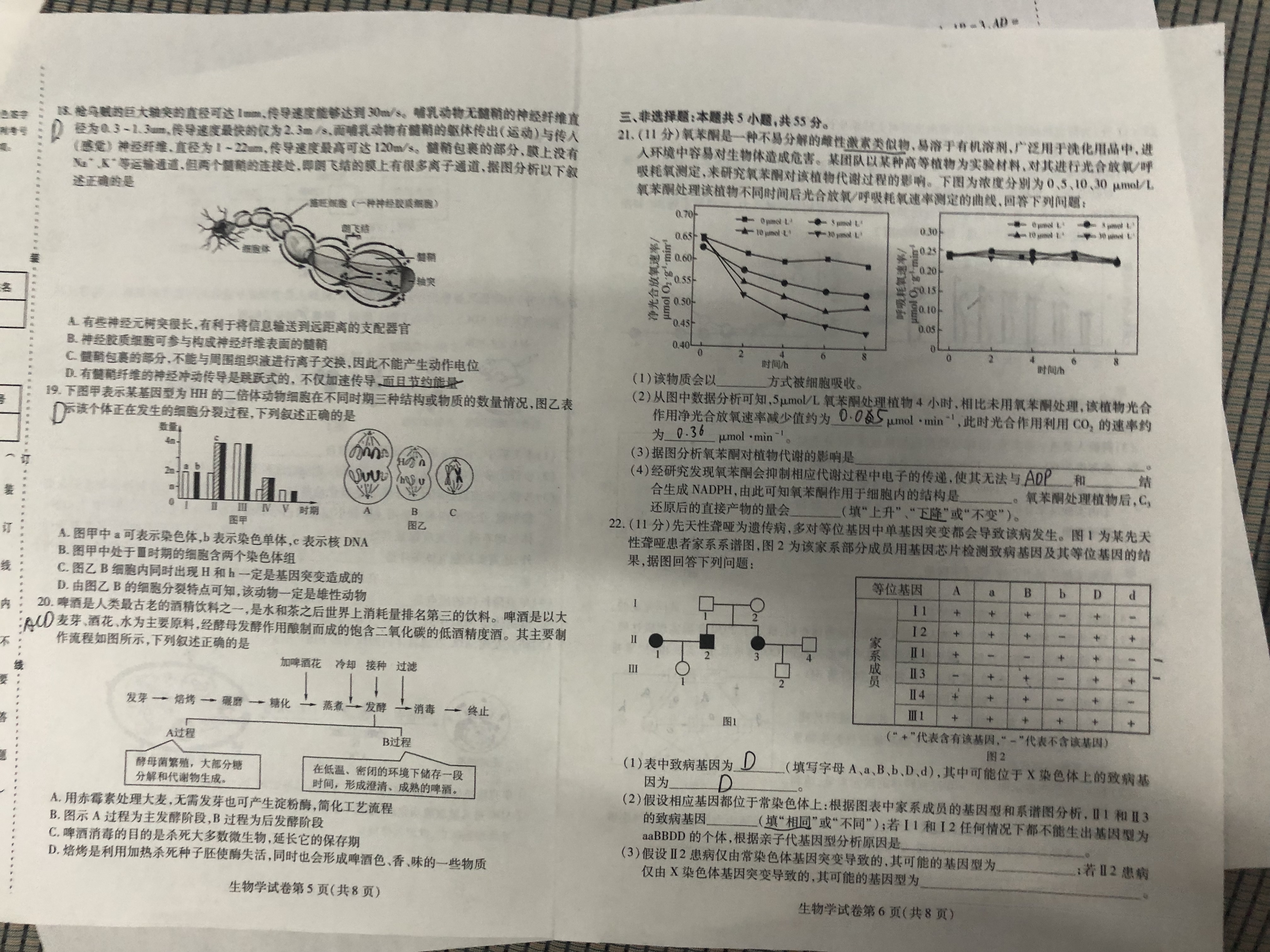 [榆林四模]榆林市2023-2024年度高三第四次模拟检测答案(生物)