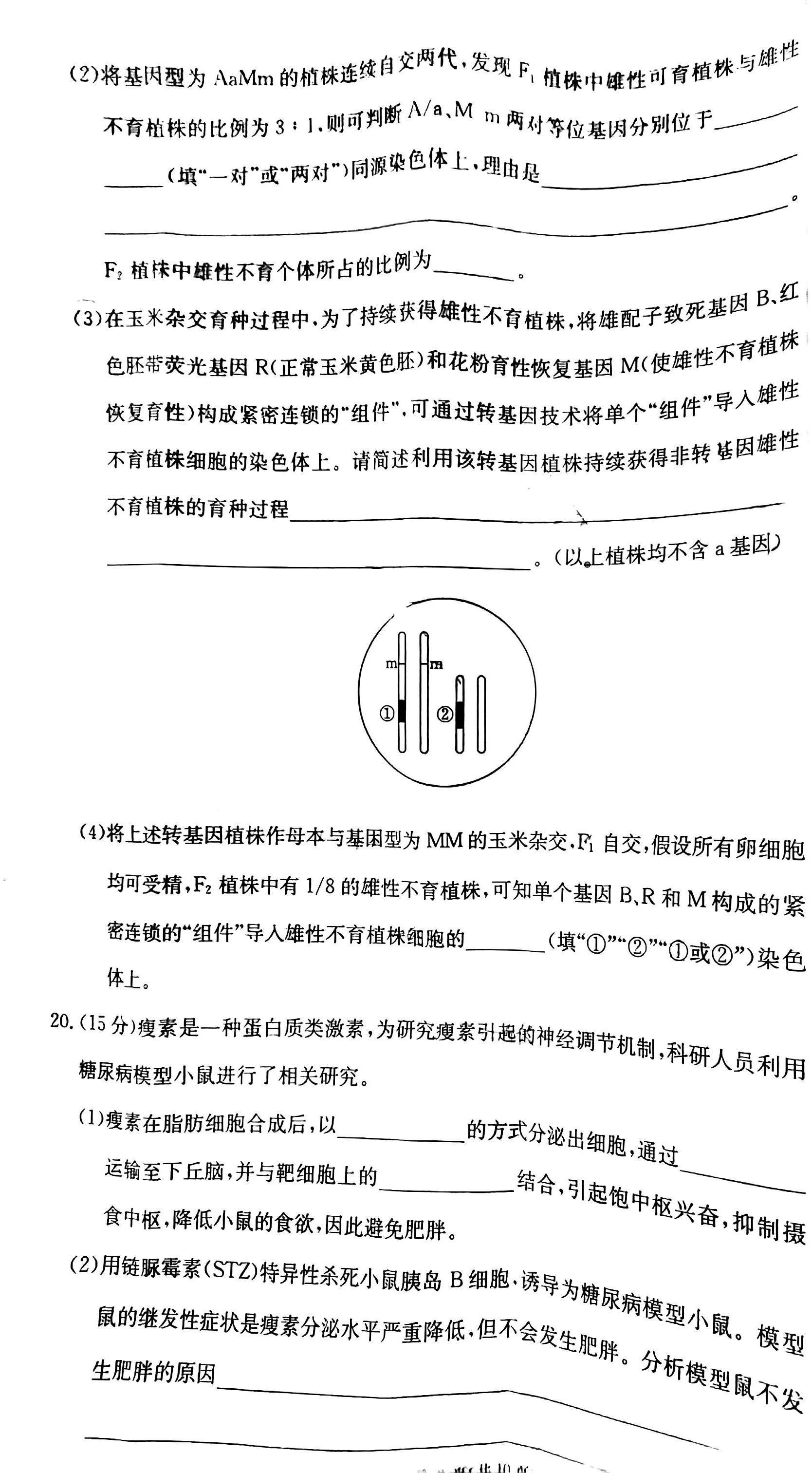 2024安徽皖江名校高三8月开学考生物试卷及答案