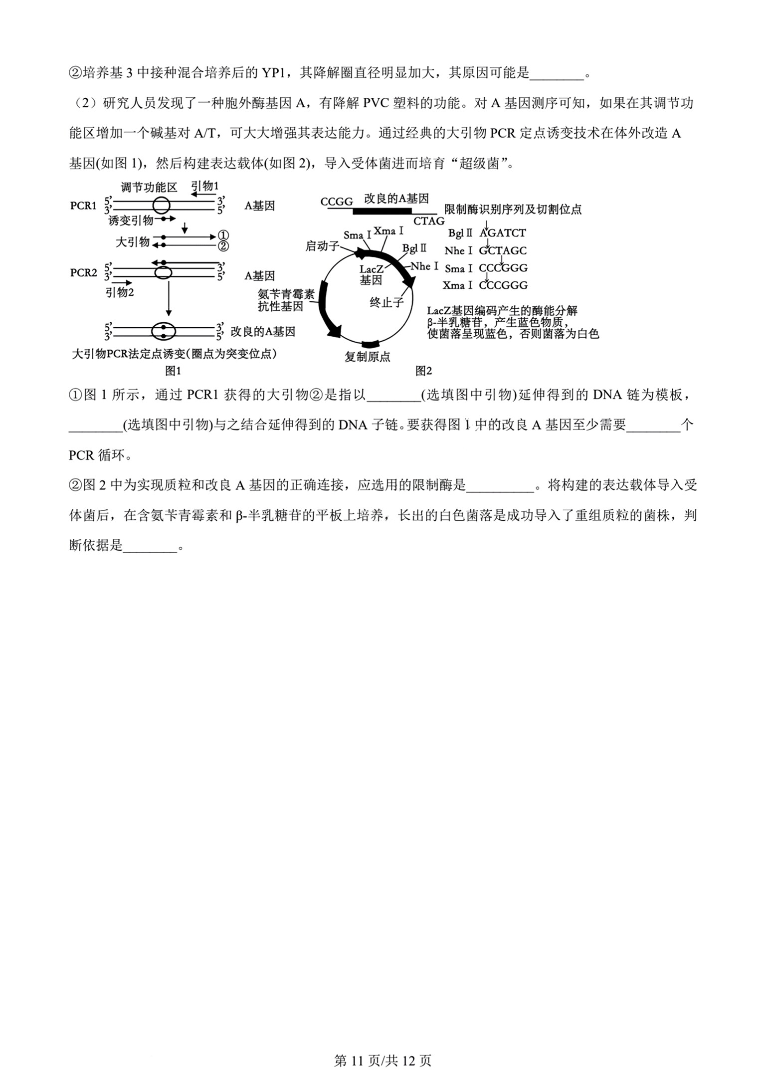 全国100所名校最新高考冲刺卷样卷一2023生物