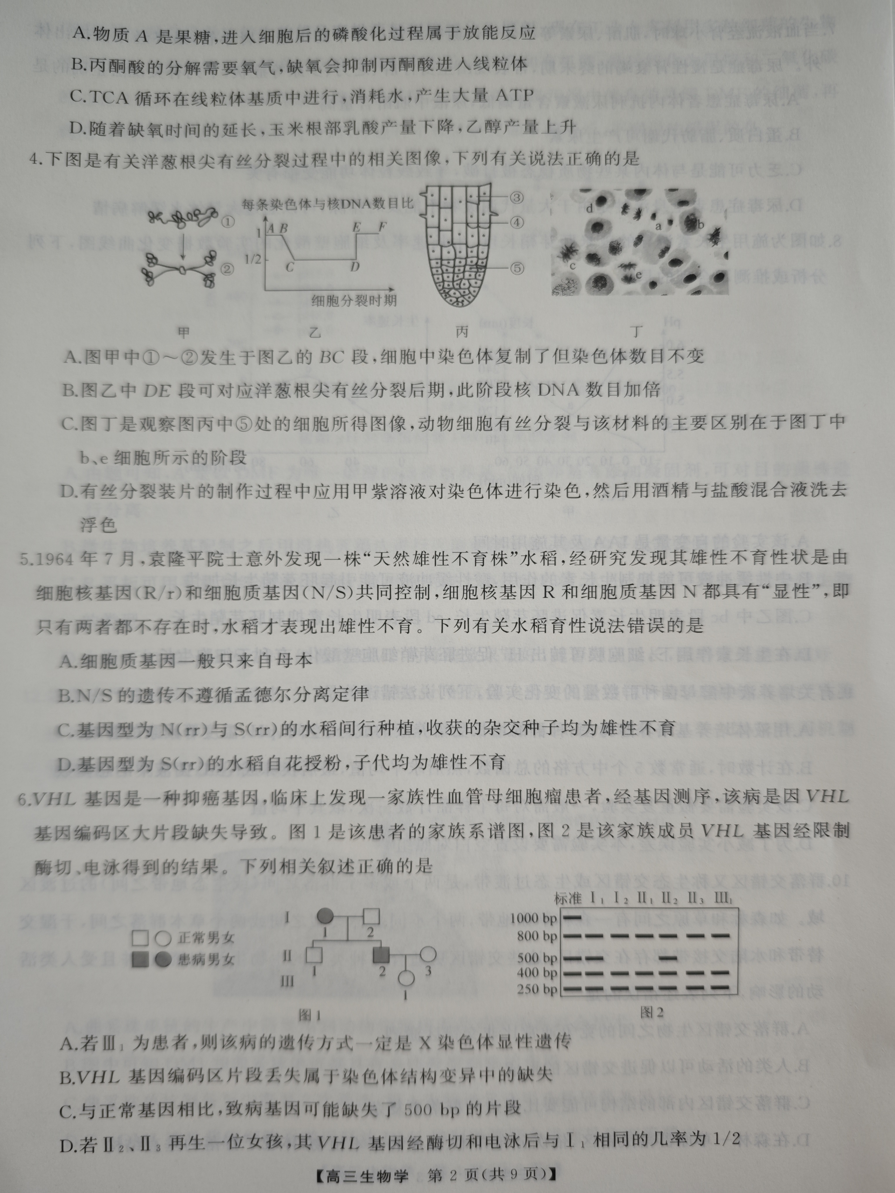 真题密卷 2024年普通高等学校招生全国统一考试模拟试题·冲顶实战演练答案(生物)