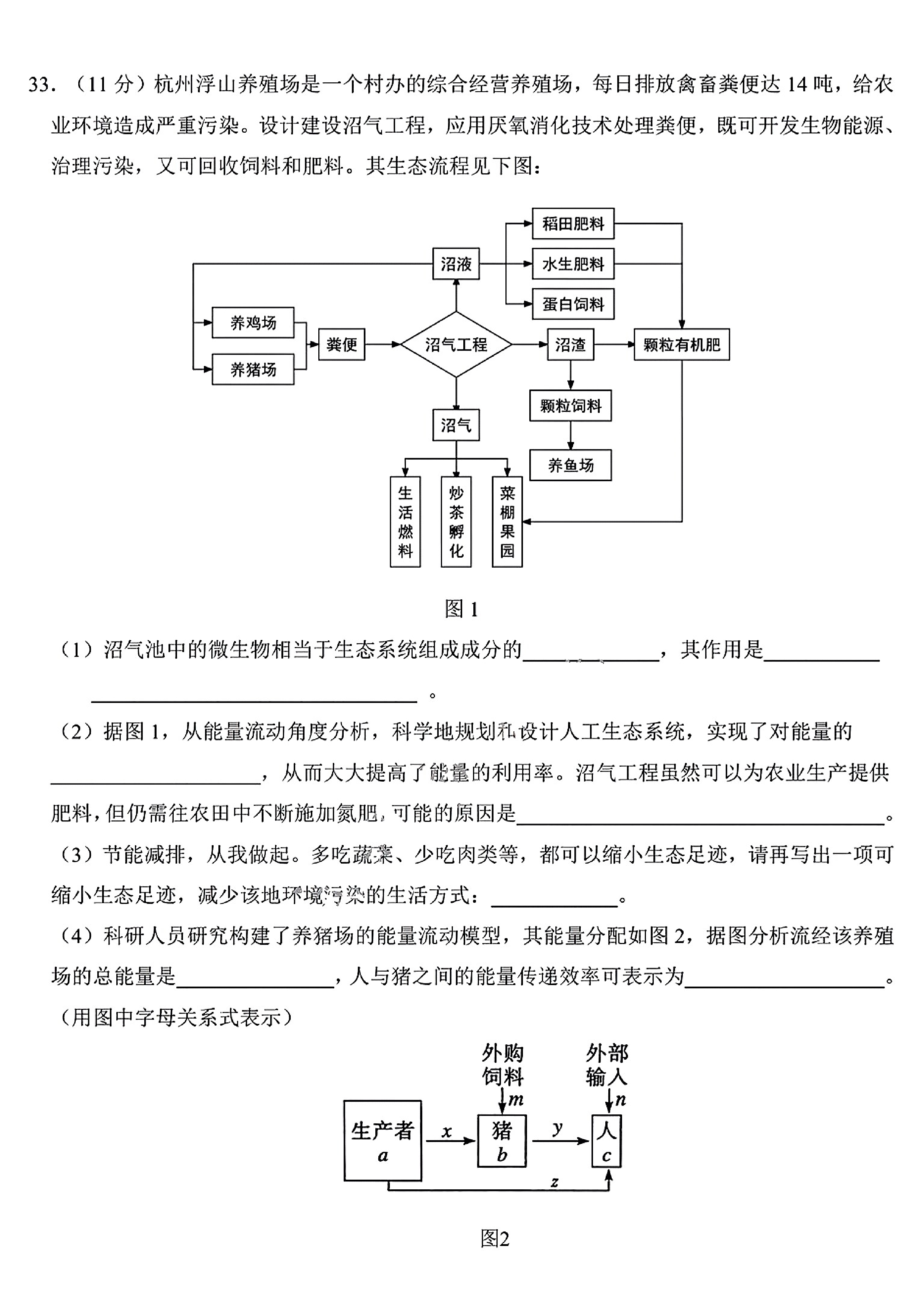 2024届衡水金卷先享题 [调研卷](四)4理综(JJ·B)答案