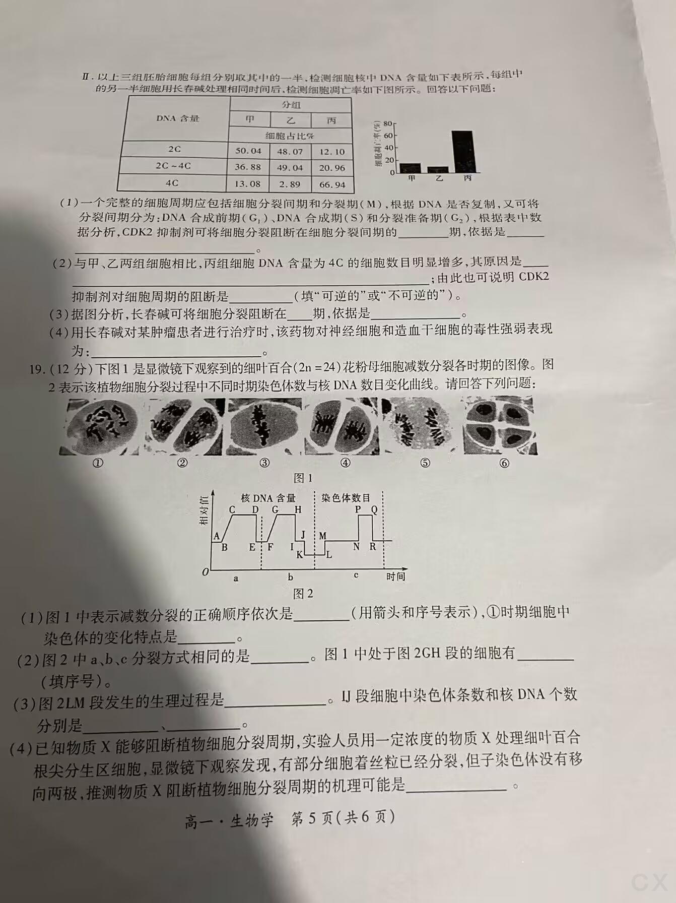 [铜川三模]铜川市2024年高三年级第三次模拟考试试题(生物)