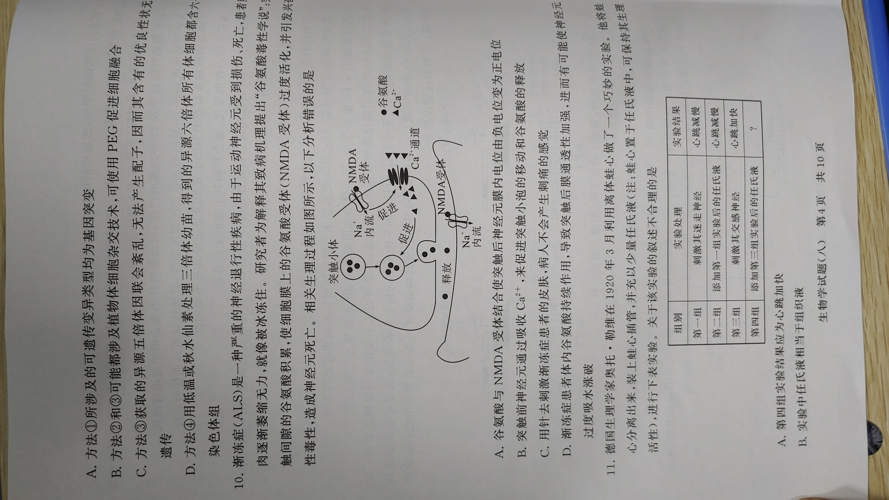 1号卷 A10联盟2024年高考原创夺冠卷(一)1答案(生物)