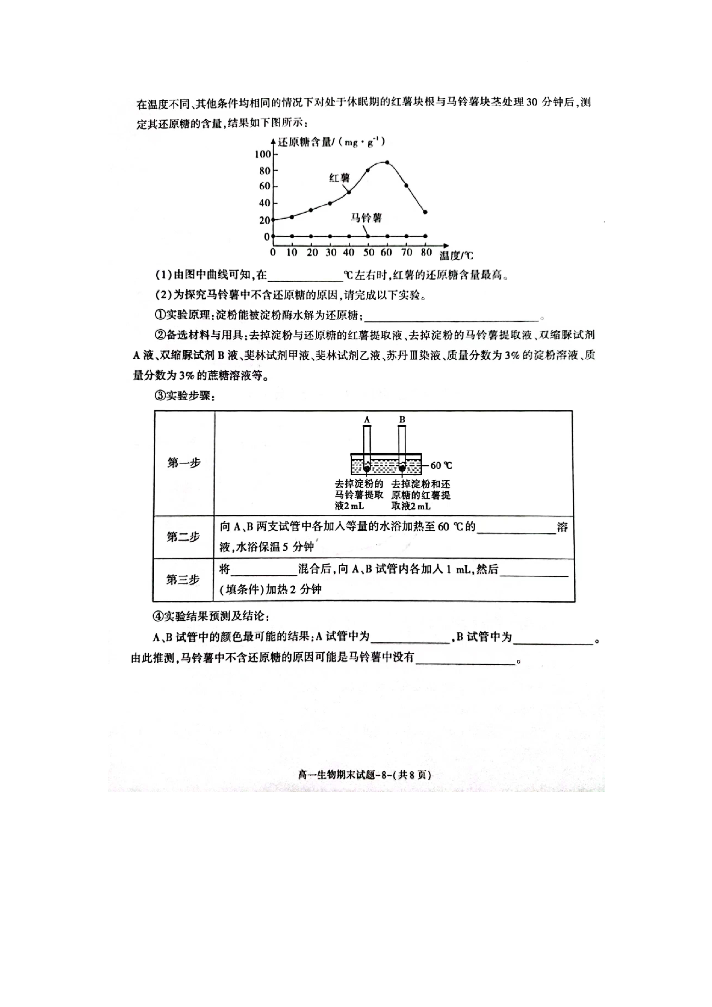 2024届北海市高三第一次模拟考试(24108C)生物试卷答案