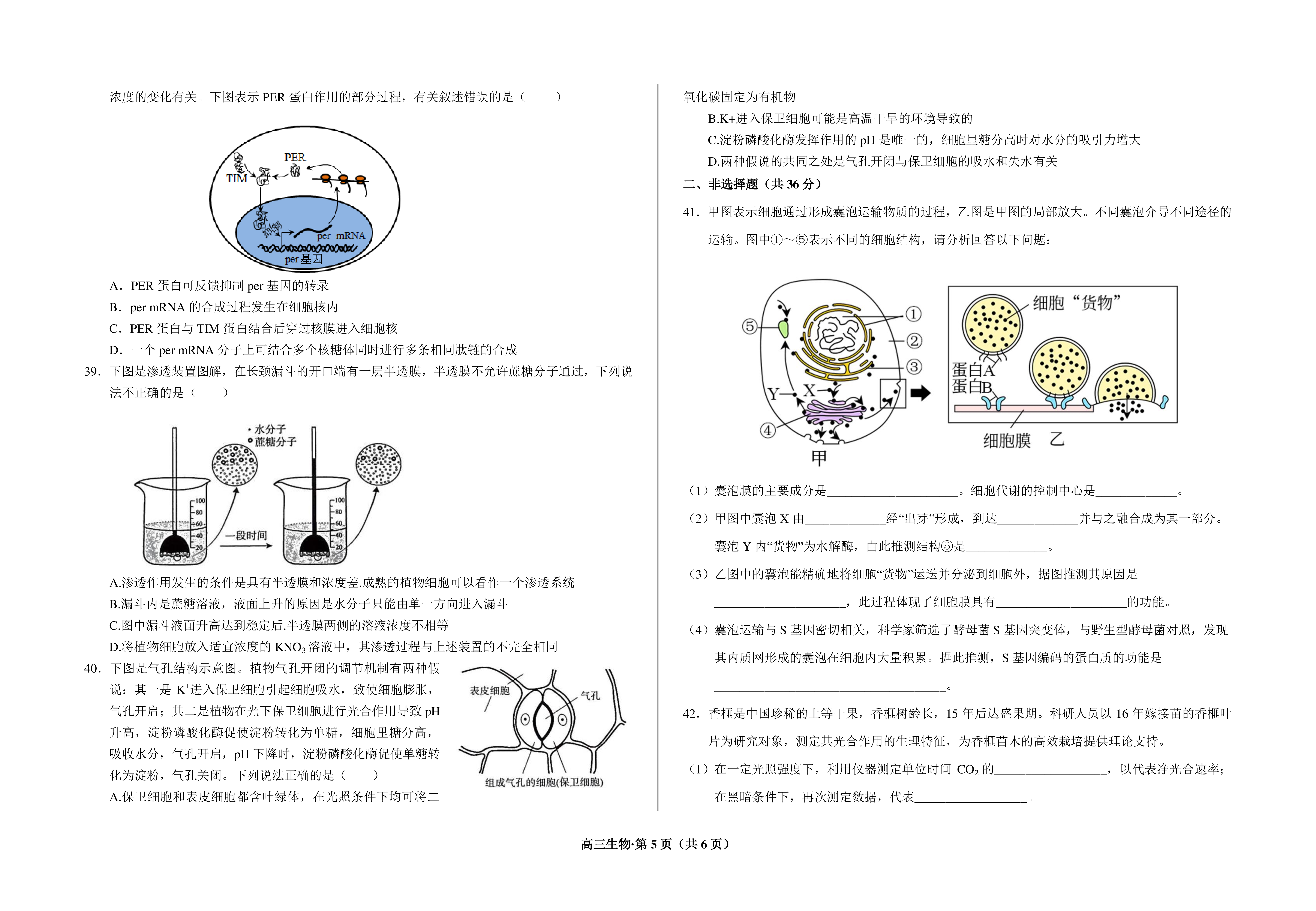 2024高三第一学期浙江省七彩阳光新高考研究联盟返校联考生物答案考试试题