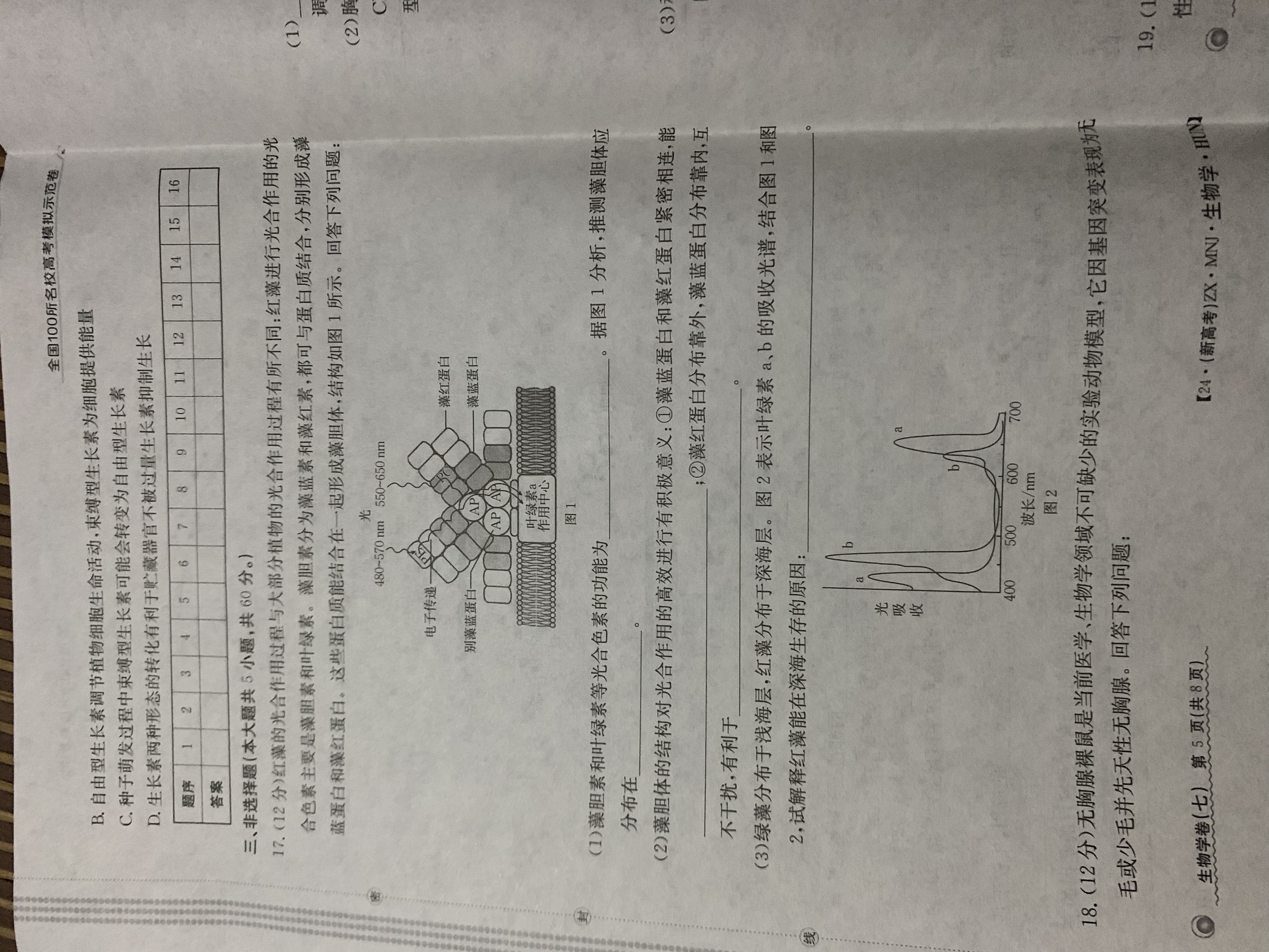 耀正文化 2024届名校名师信息卷(一)1答案(生物)