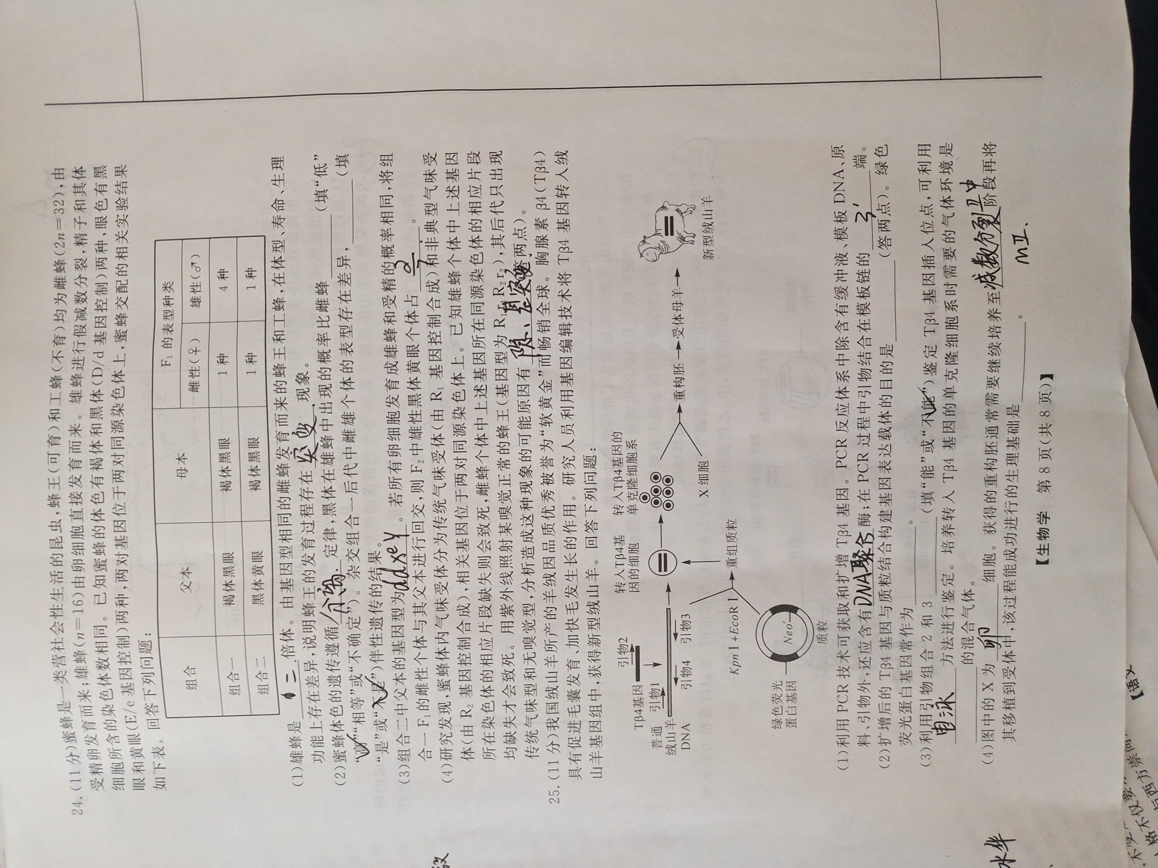 石室金匮·2024届高考专家联测卷(五)生物试题