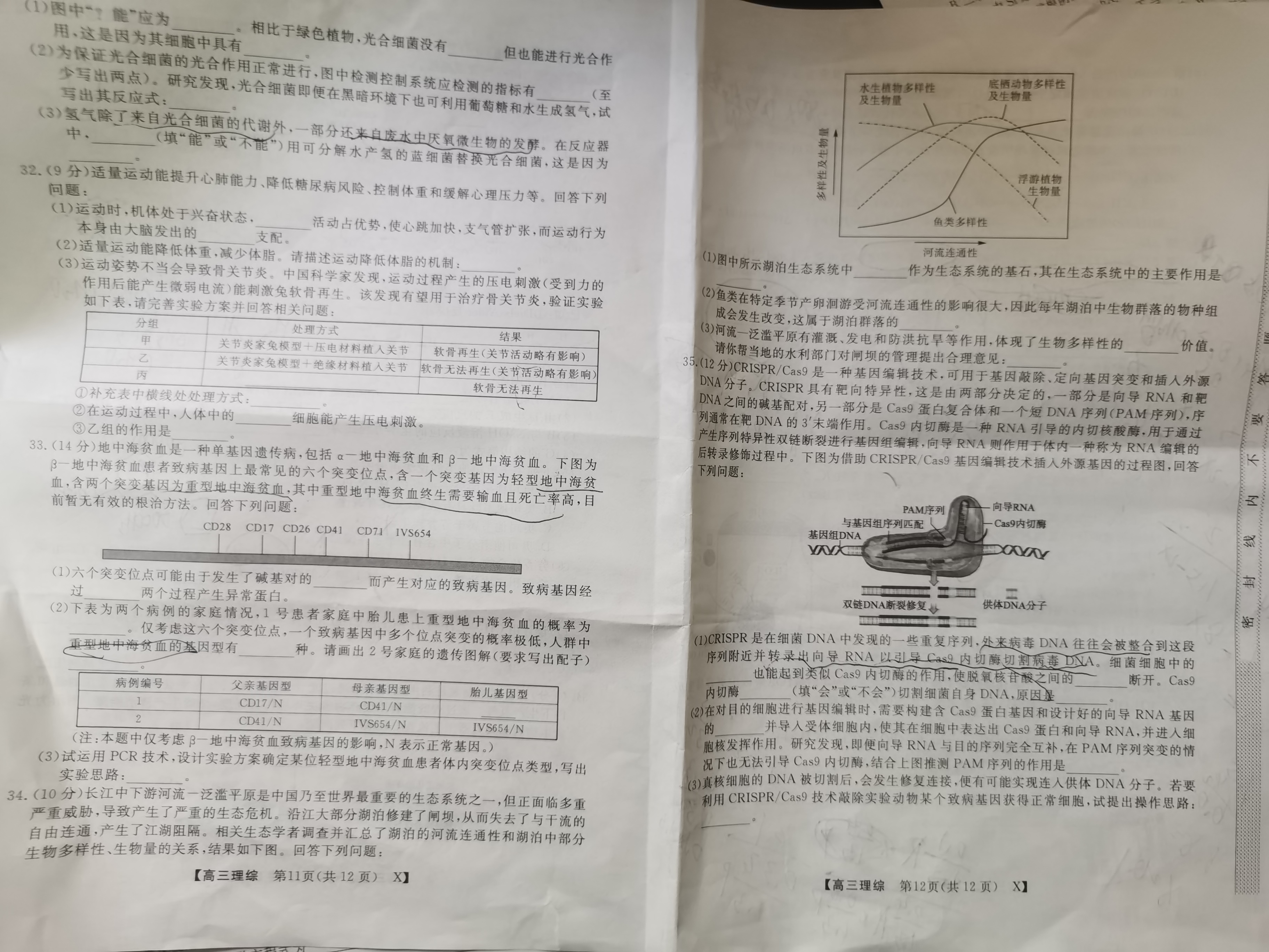 周至县2023-2024学年度高考第一次模拟考试理科综合答案