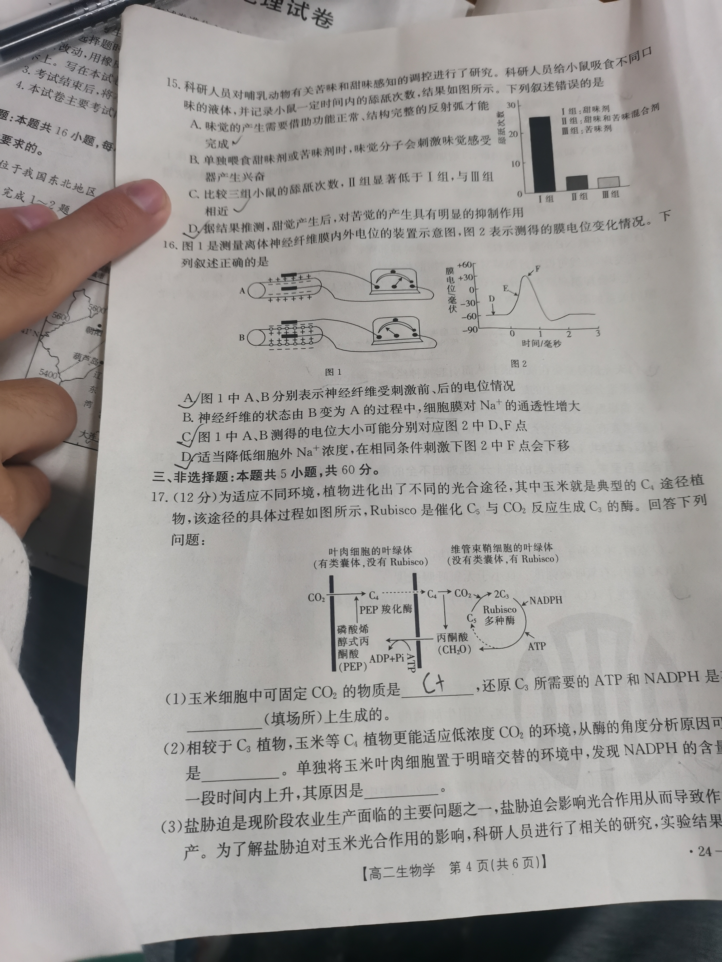 衡水金卷先享题分科综合卷2023年普通高等学校招生全国统一考试模拟试题生物一