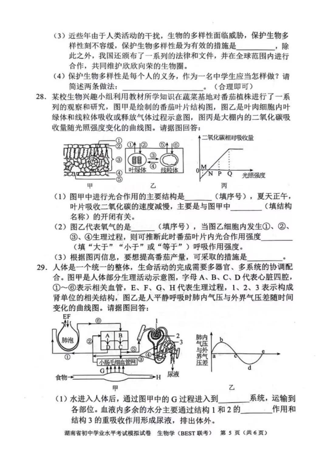 2024年湖南省普通高中学业水平合格性考试高一仿真试卷(专家版三)生物答案