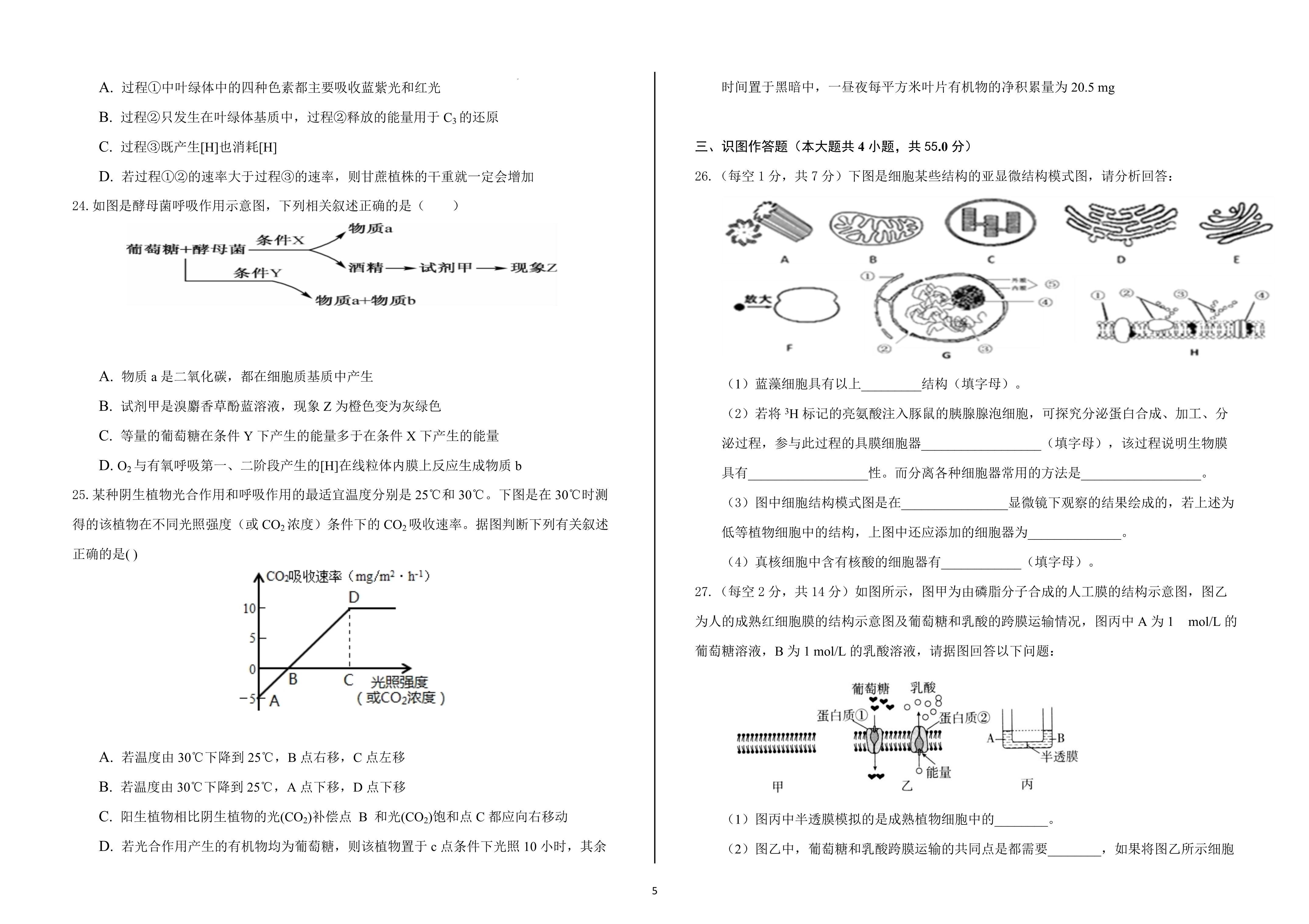 2024届全国100所名校单元测试示范卷·生物[24·G3DY(新高考)·生物-SJB-必考-HUB]四试题