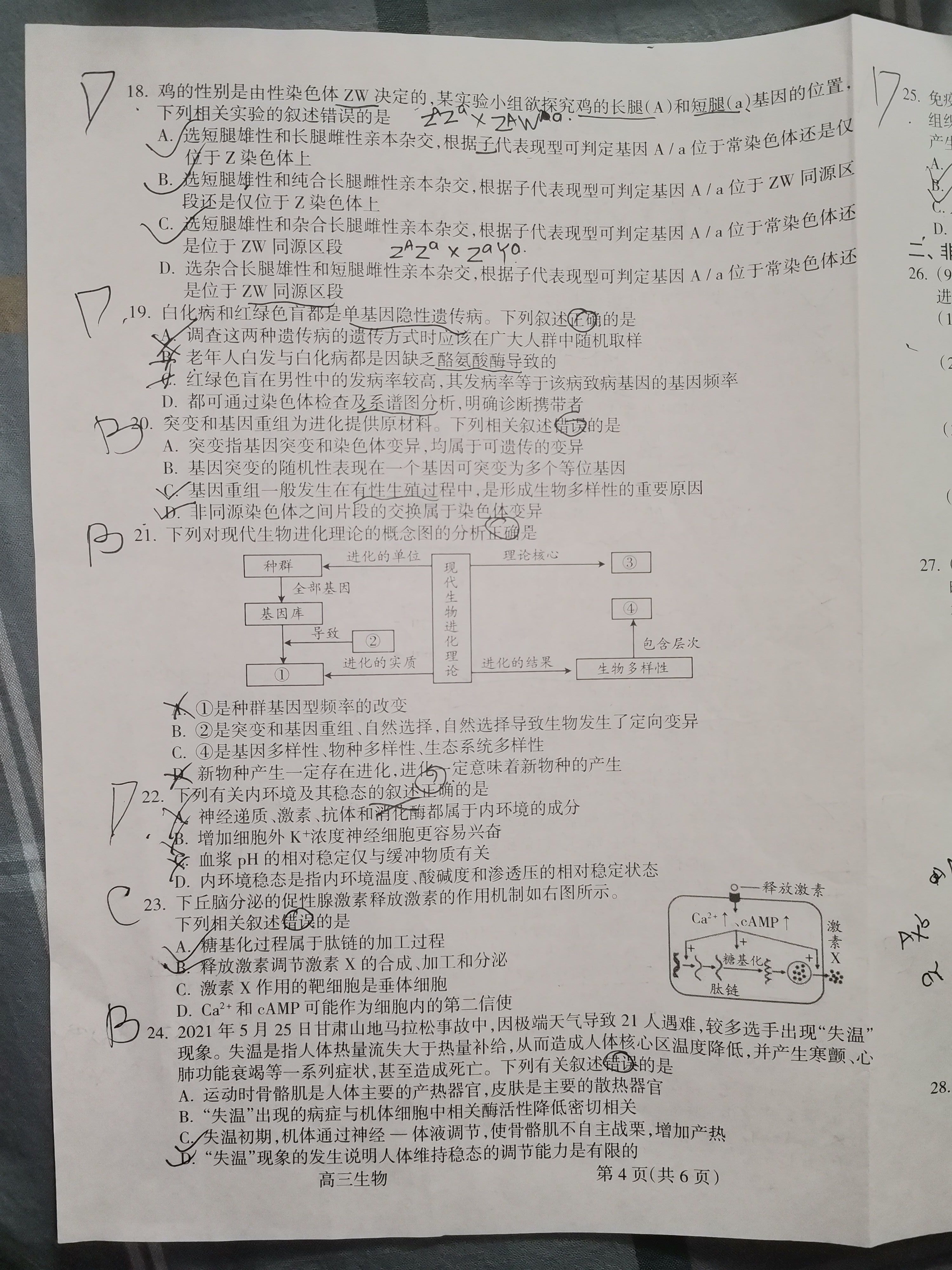 万友·2023-2024学年上学期 生物九年级教学评价一生物答案