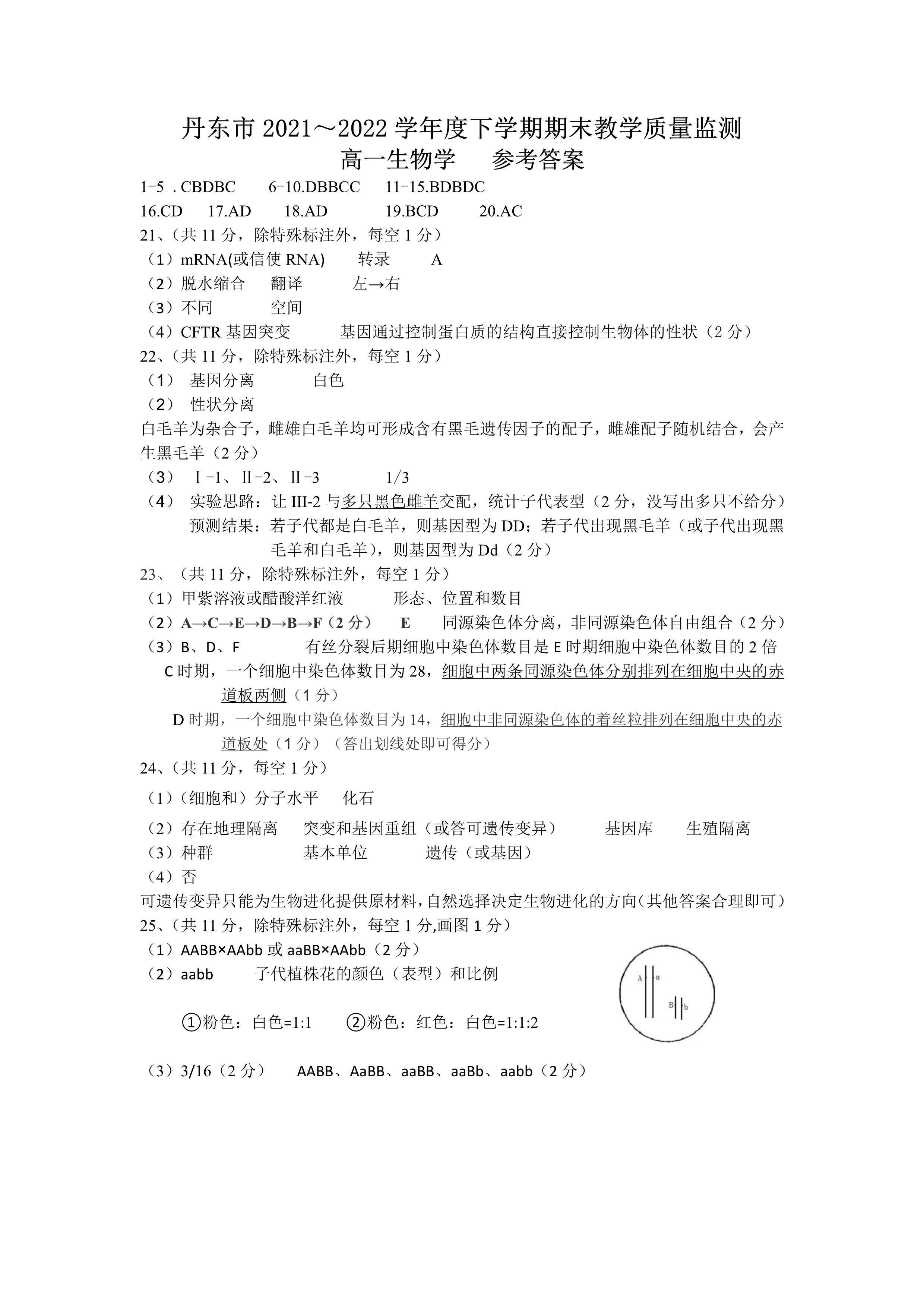 衡水金卷先享题·月考卷2023-2024学年度上学期高二年级一调考试生物试题