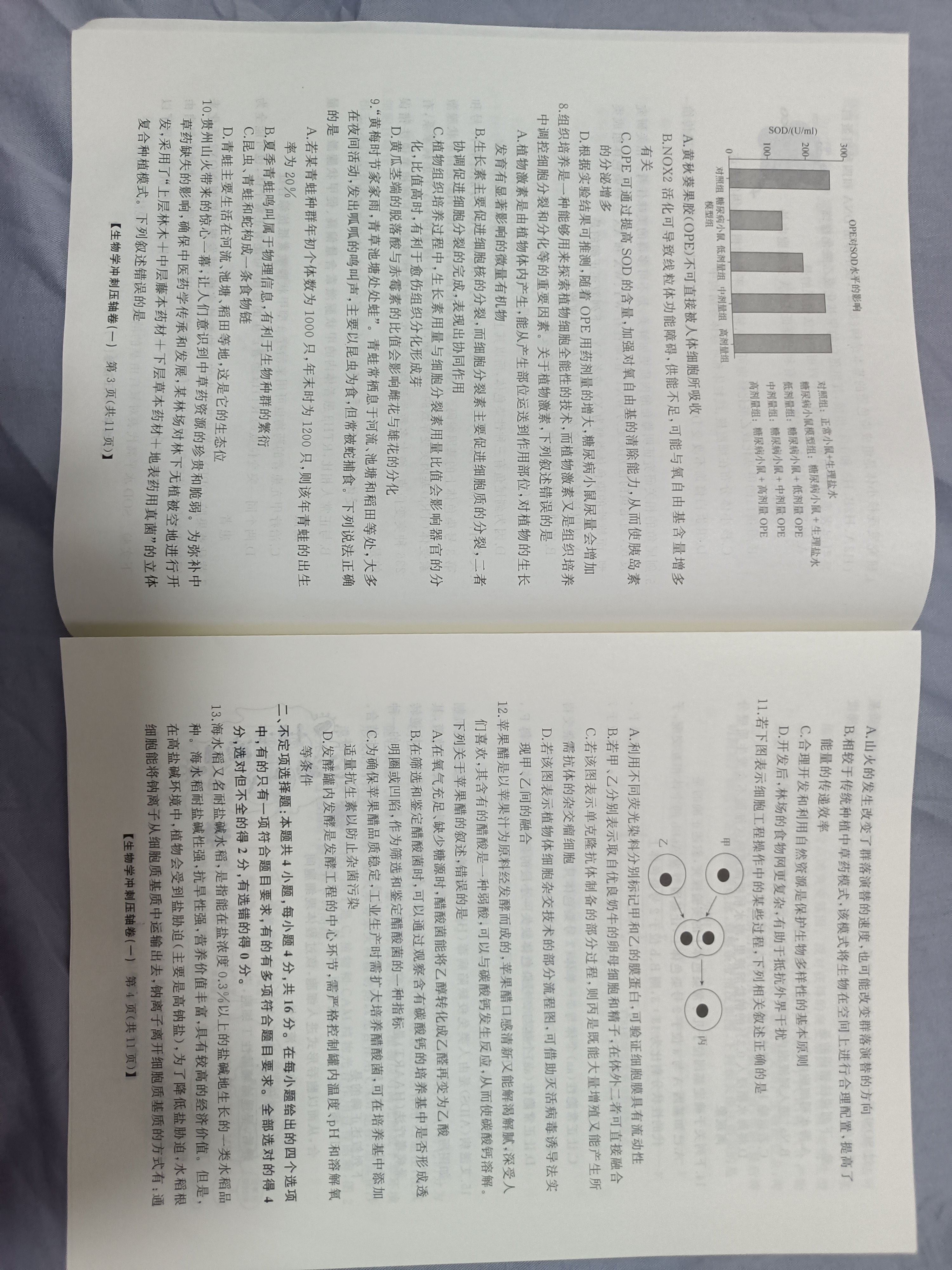 陕西省2024年普通高中学业水平合格性考试模拟试题(四)4各科试卷答案答案(生物)