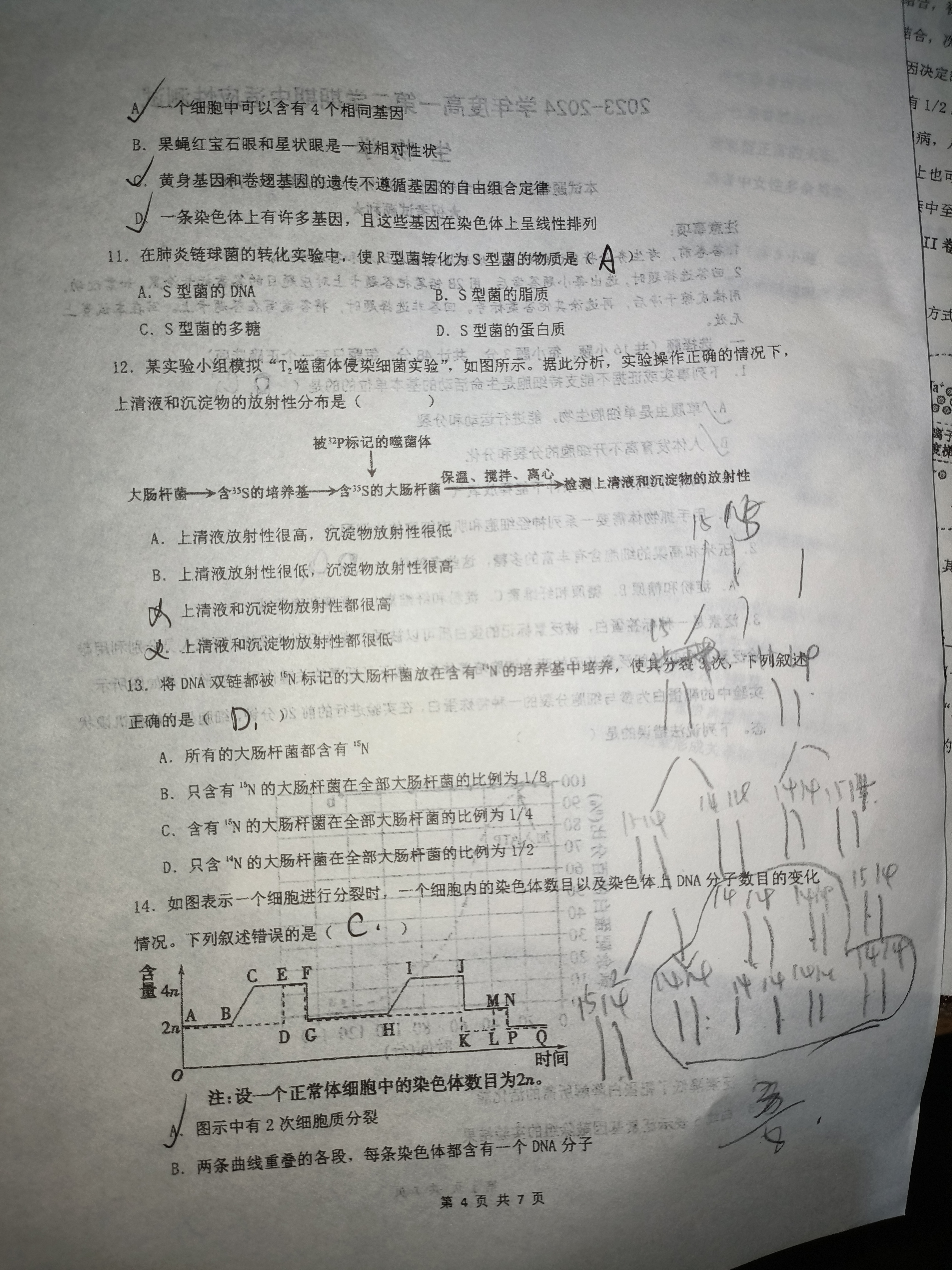 [天舟高考]2024年衡中同卷·押题卷(一)1答案(生物)