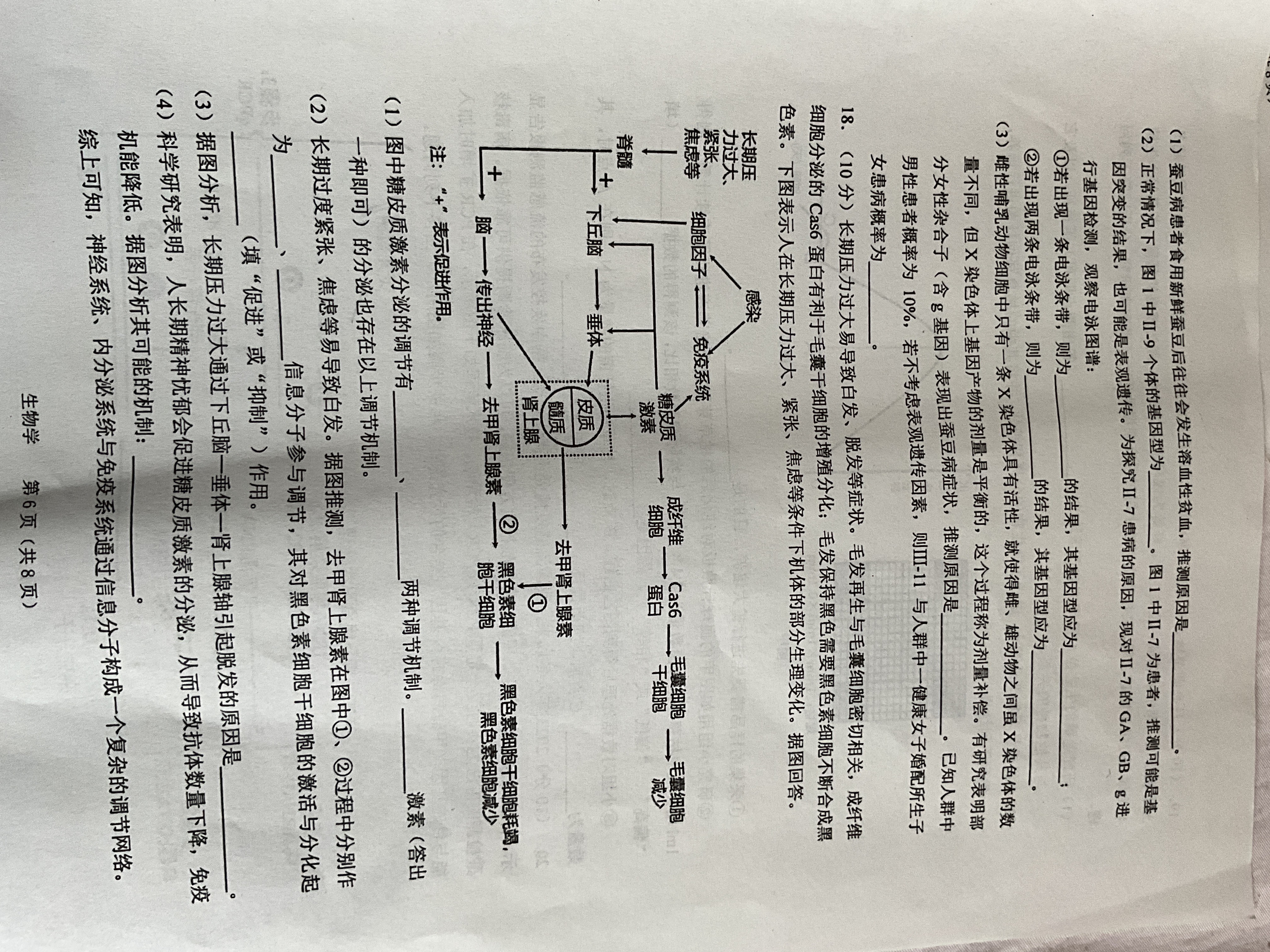 2024届衡水金卷先享题 信息卷[江西专版]生物(五)5答案