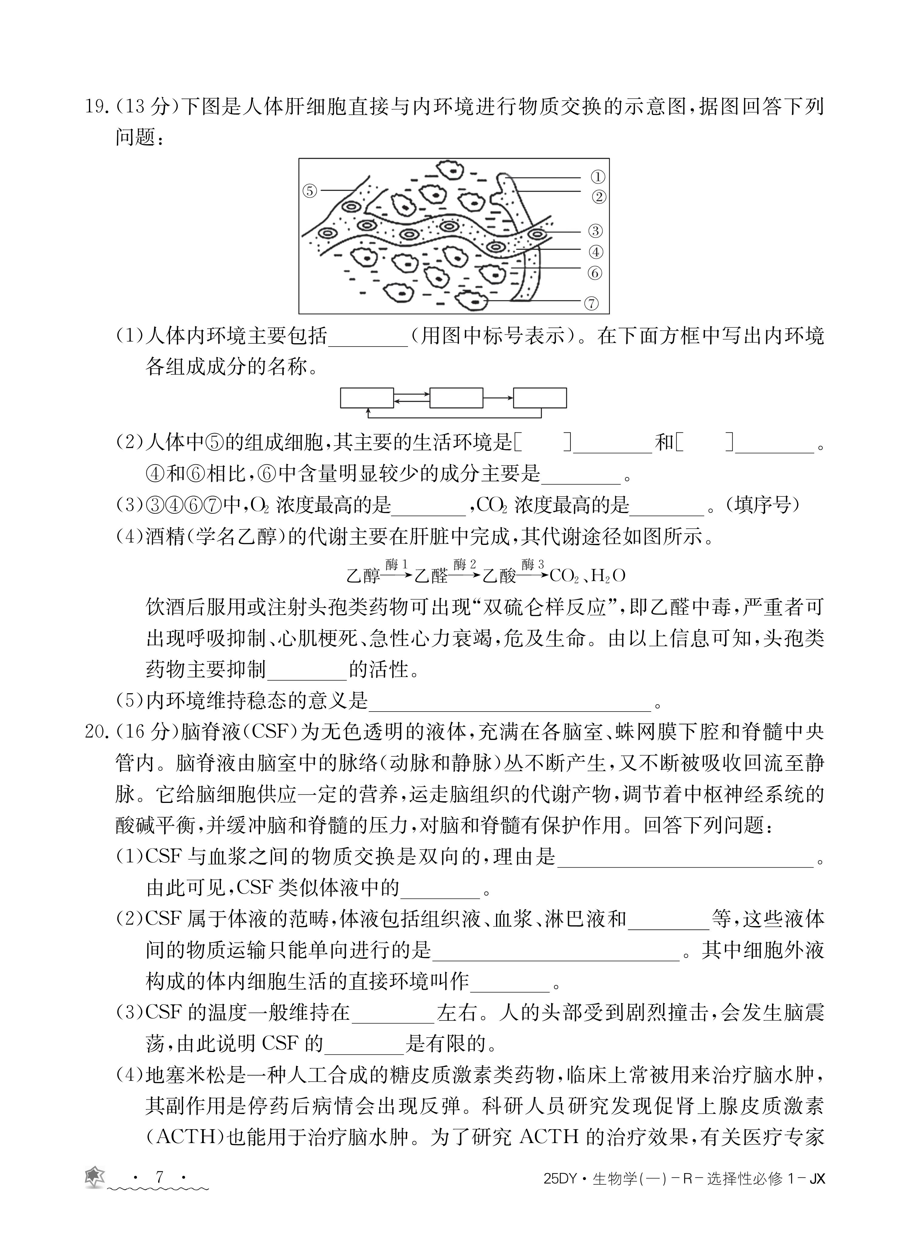 河南初中2024年九年级抽测试卷(6月)答案(生物)