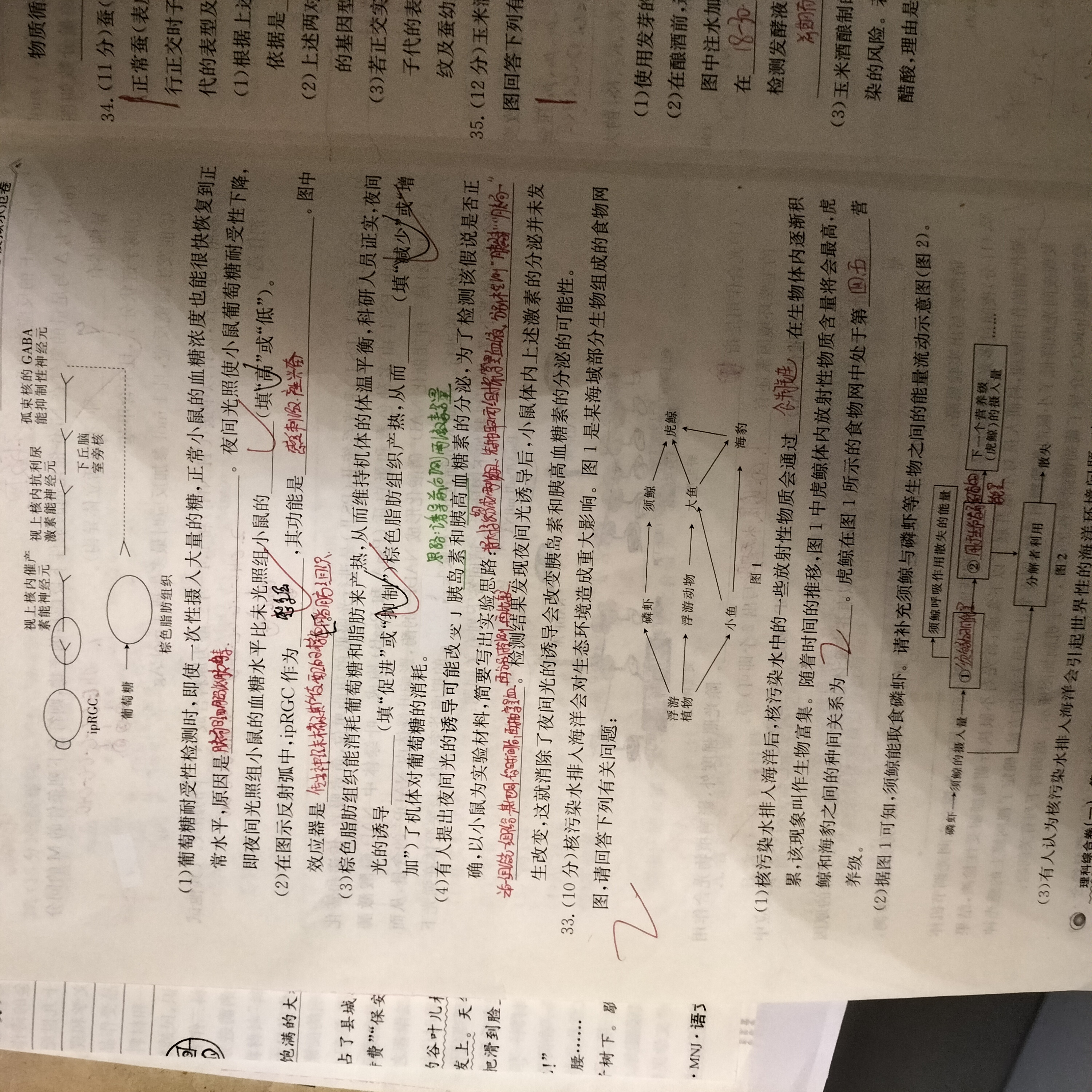 内蒙古呼和浩特市2023-2024学年第一学期高三年级学业质量监测理科综合答案