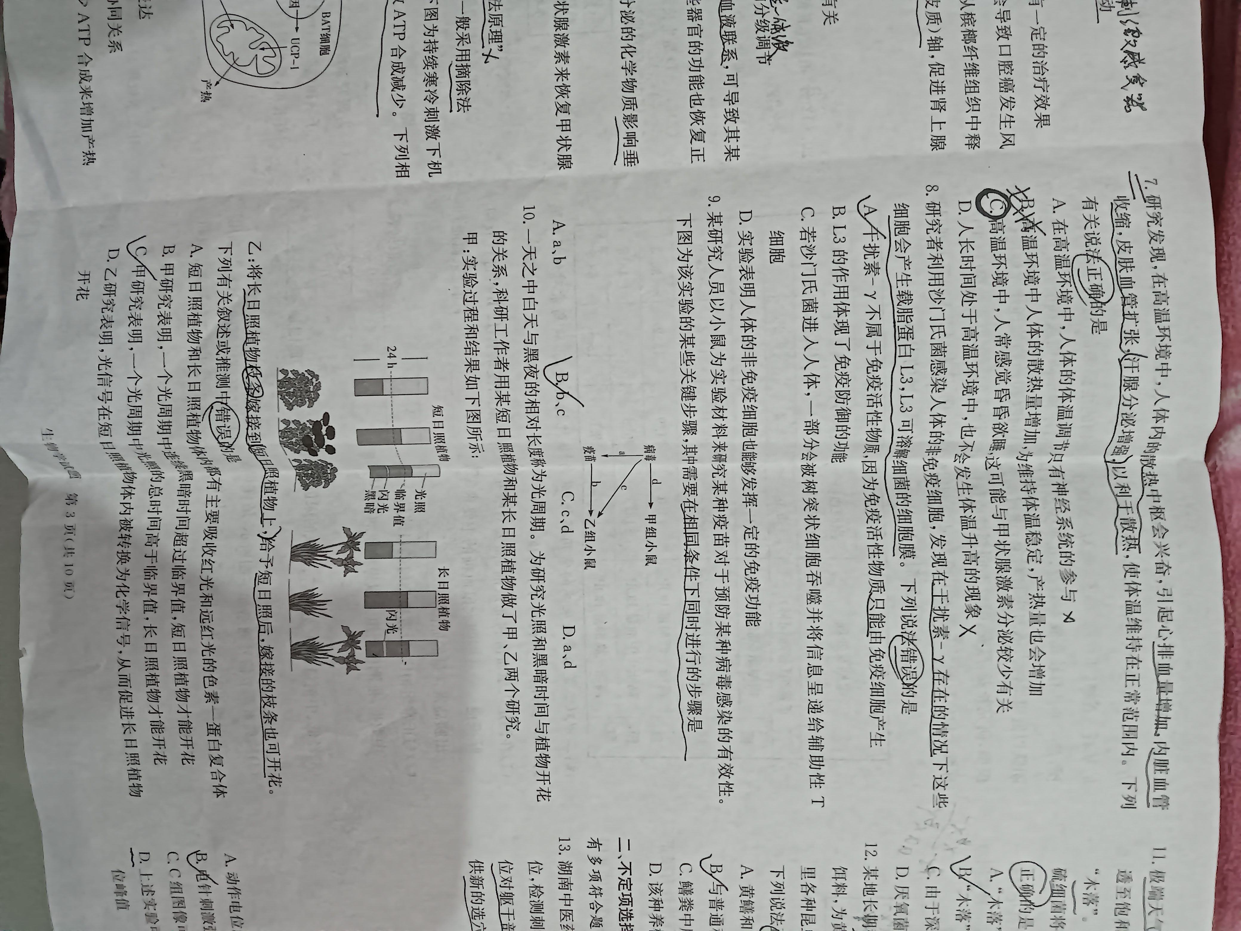 [天一大联考]2023-2024学年高中毕业班阶段性测试(四)4生物(专版)答案