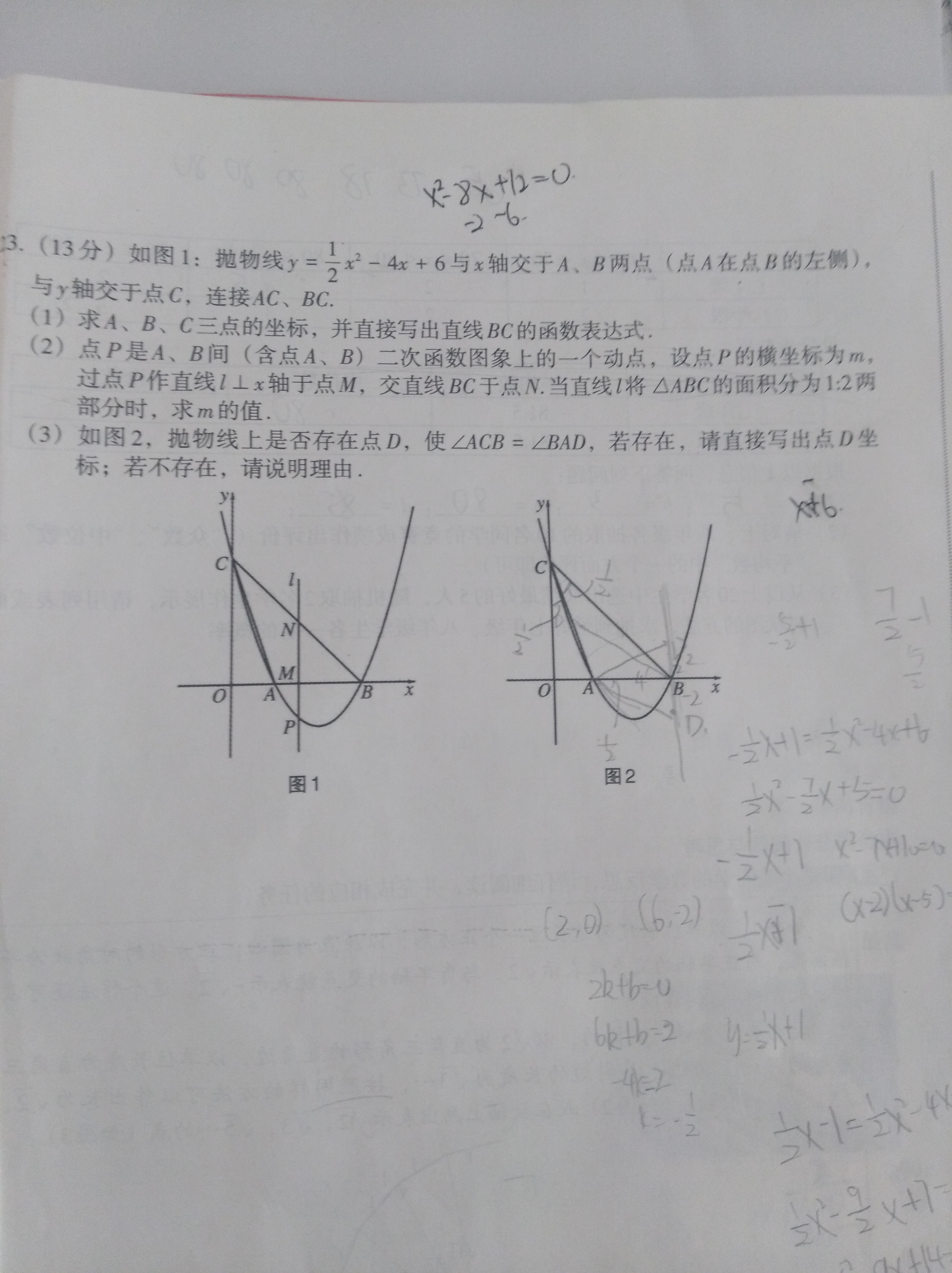 2023年河北省名校强基联盟高一期中联考（11月）数学f试卷答案