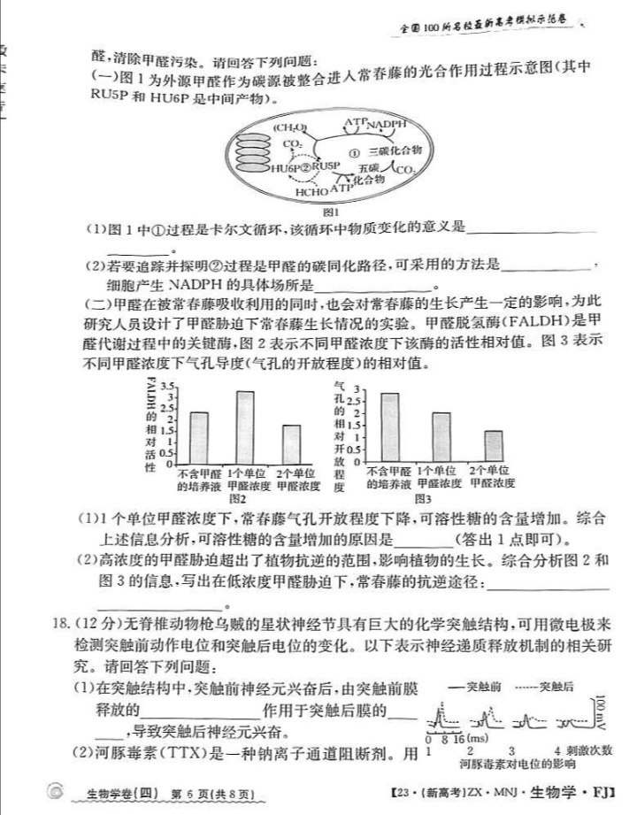 2023年11月高二A佳教育 湖湘教育三新探索协作体 期中联考生物试卷答案