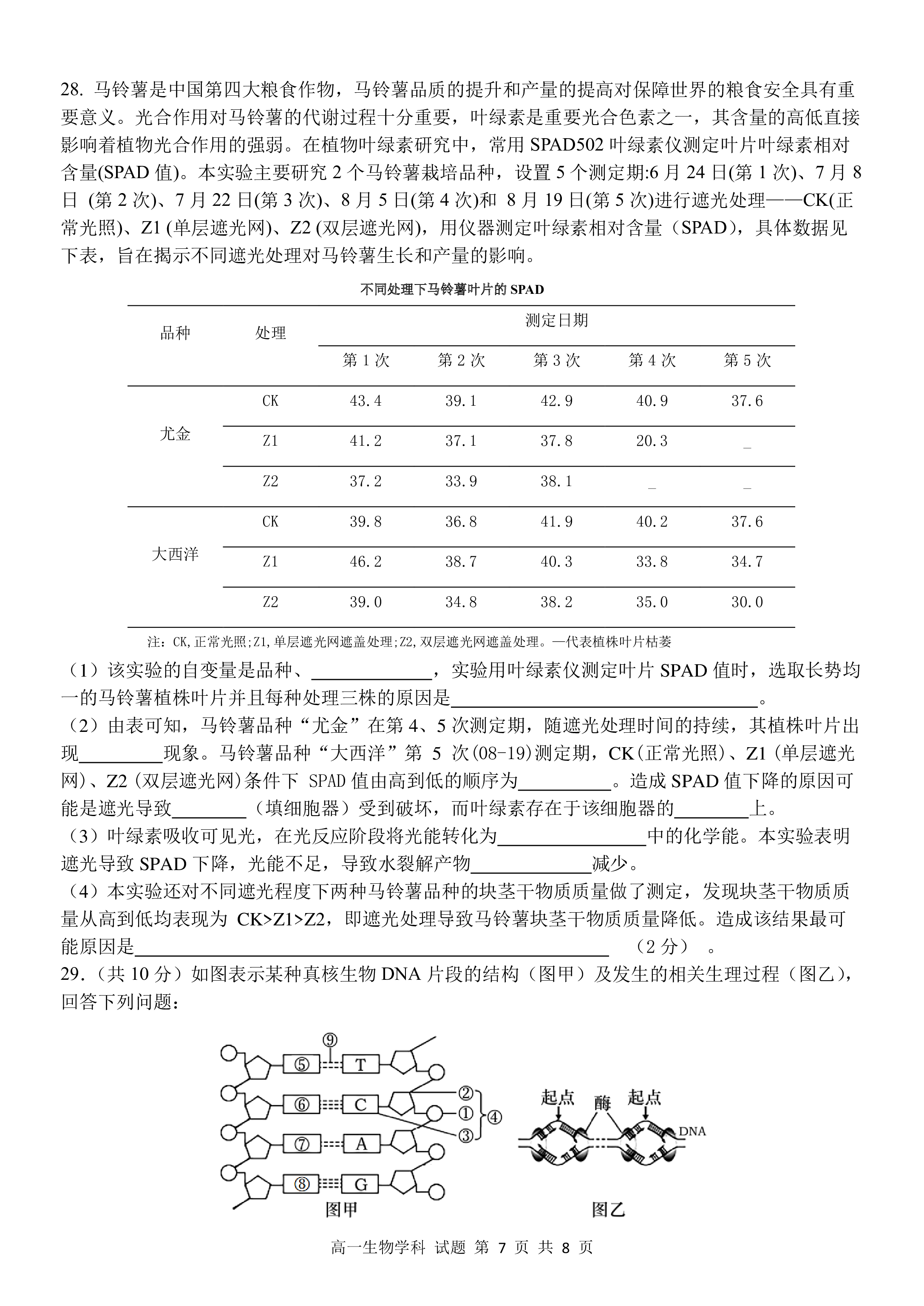 河南省2023-2024学年度九年级上学期期中综合评估【2LR】生物试卷答案