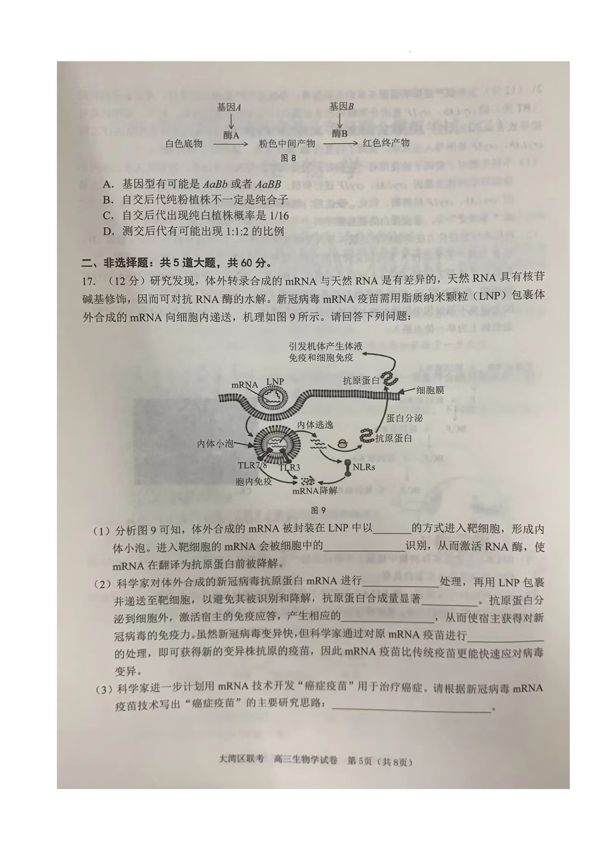 百师联盟 2024届高三信息押题卷(二)2答案(生物)