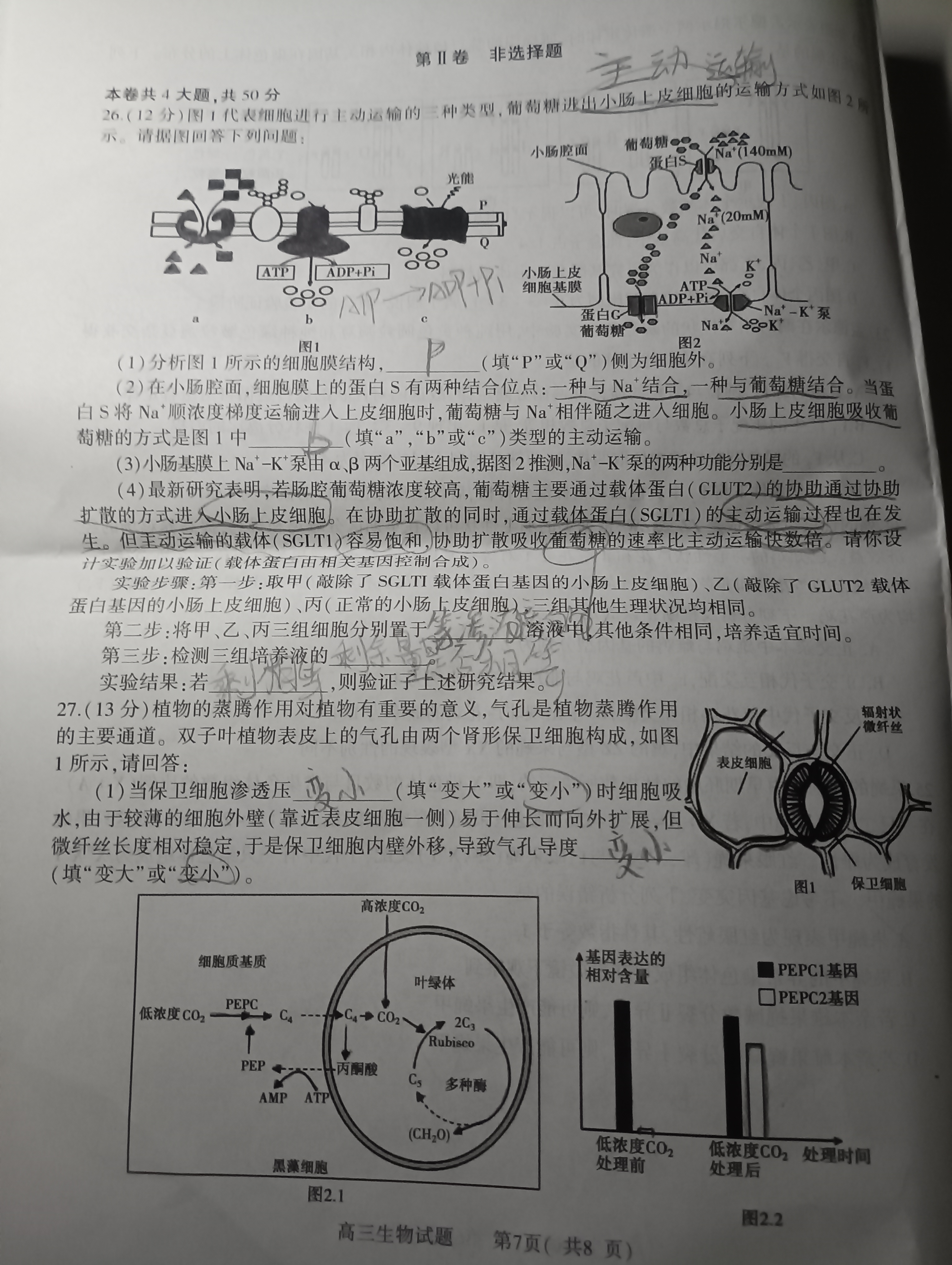 全国100所名校最新高考冲刺卷样卷一2023生物