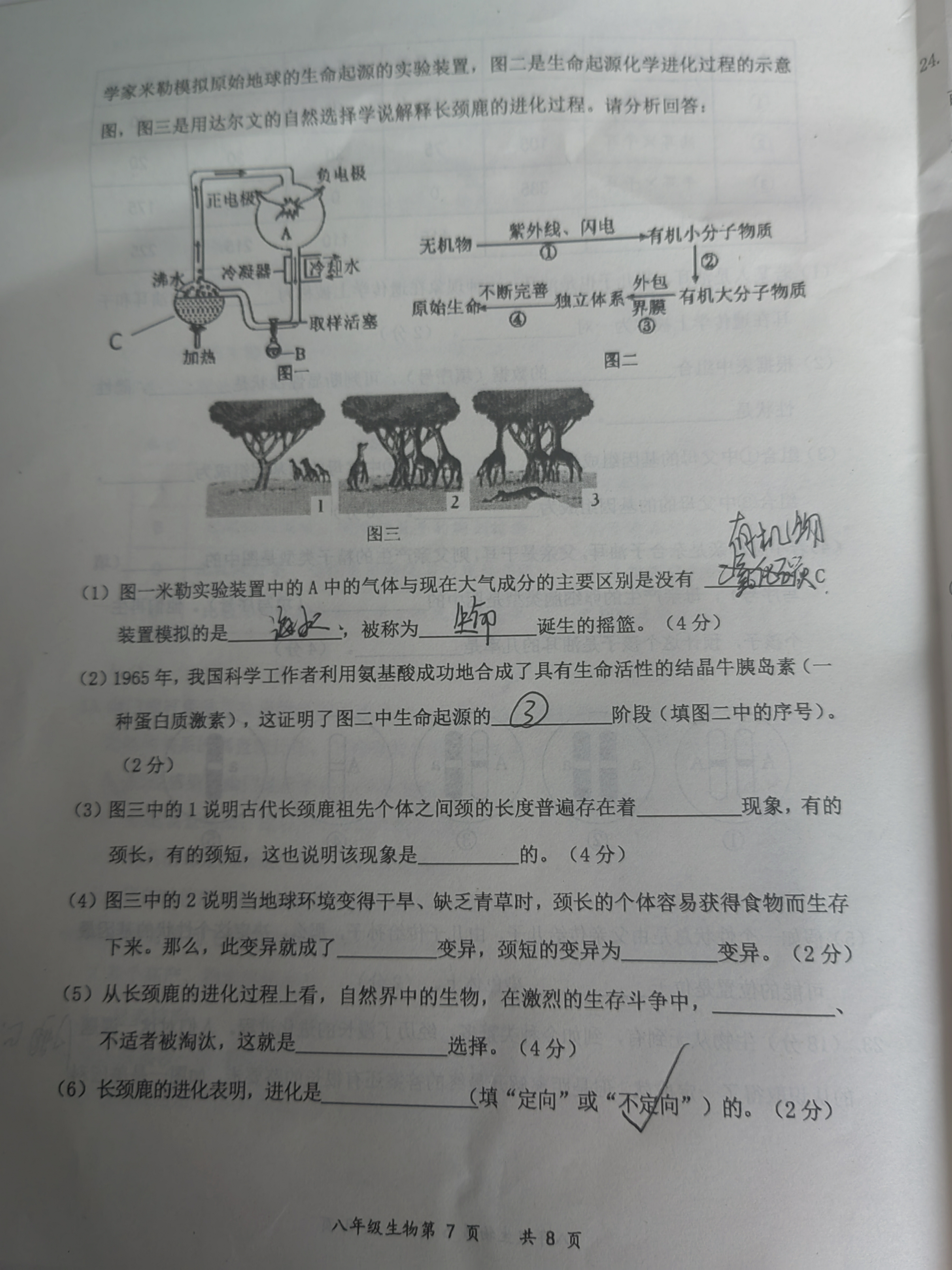 九师联盟 2024届高三押题信息卷(一)1答案(生物)