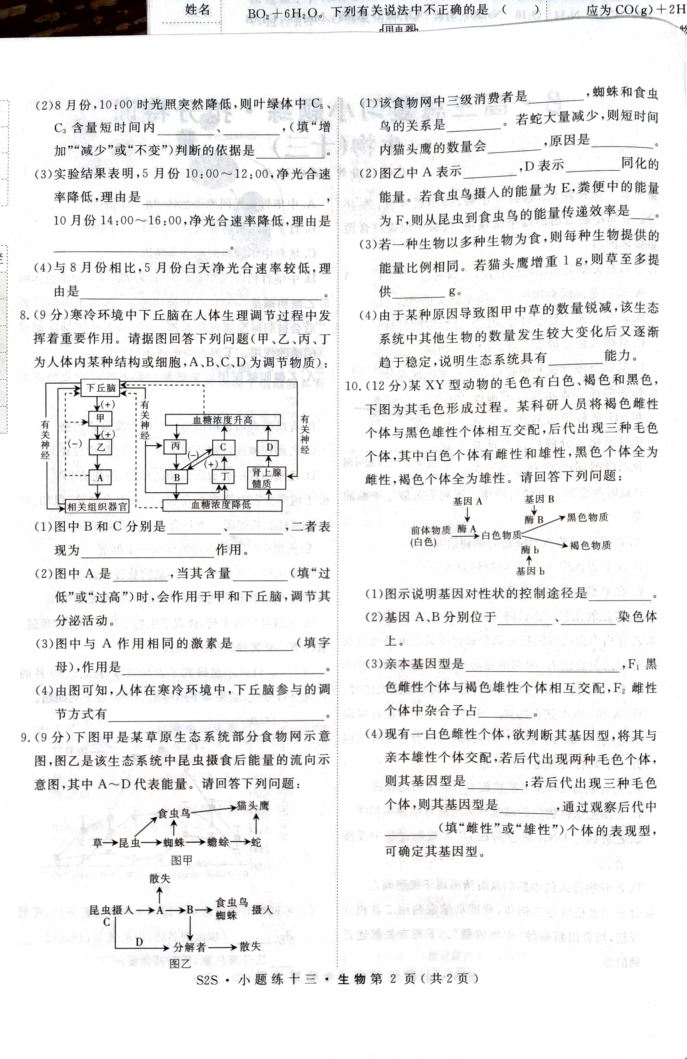 菁师联盟·2024届10月质量监测考试生物答案