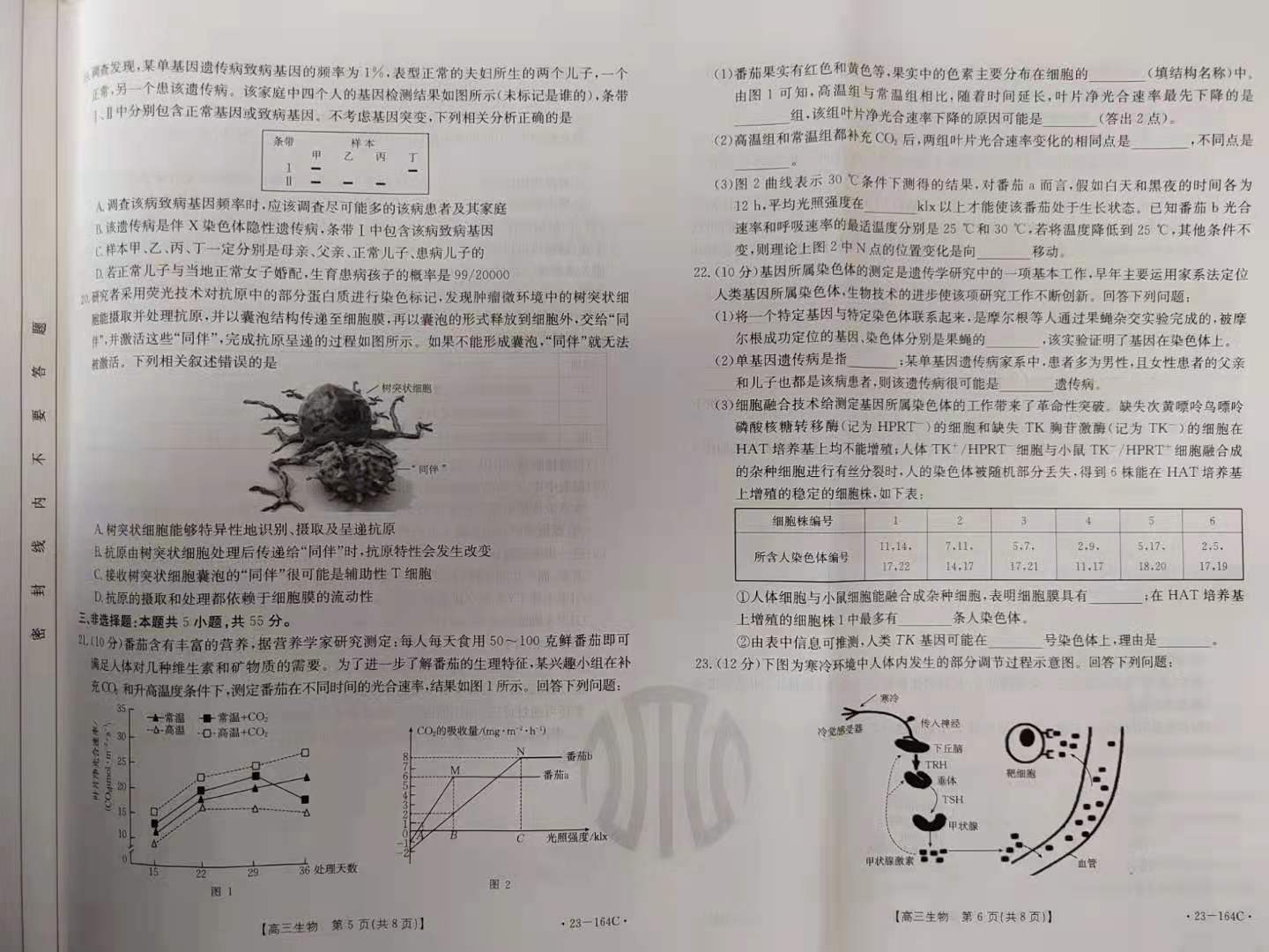 炎德 英才大联考湖南师大附中2024届高三月考试卷(一)生物答案