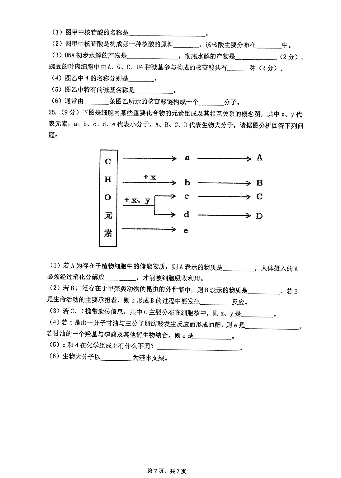 2023高三第一学期浙江省七彩阳光新高考研究联盟返校联考生物答案