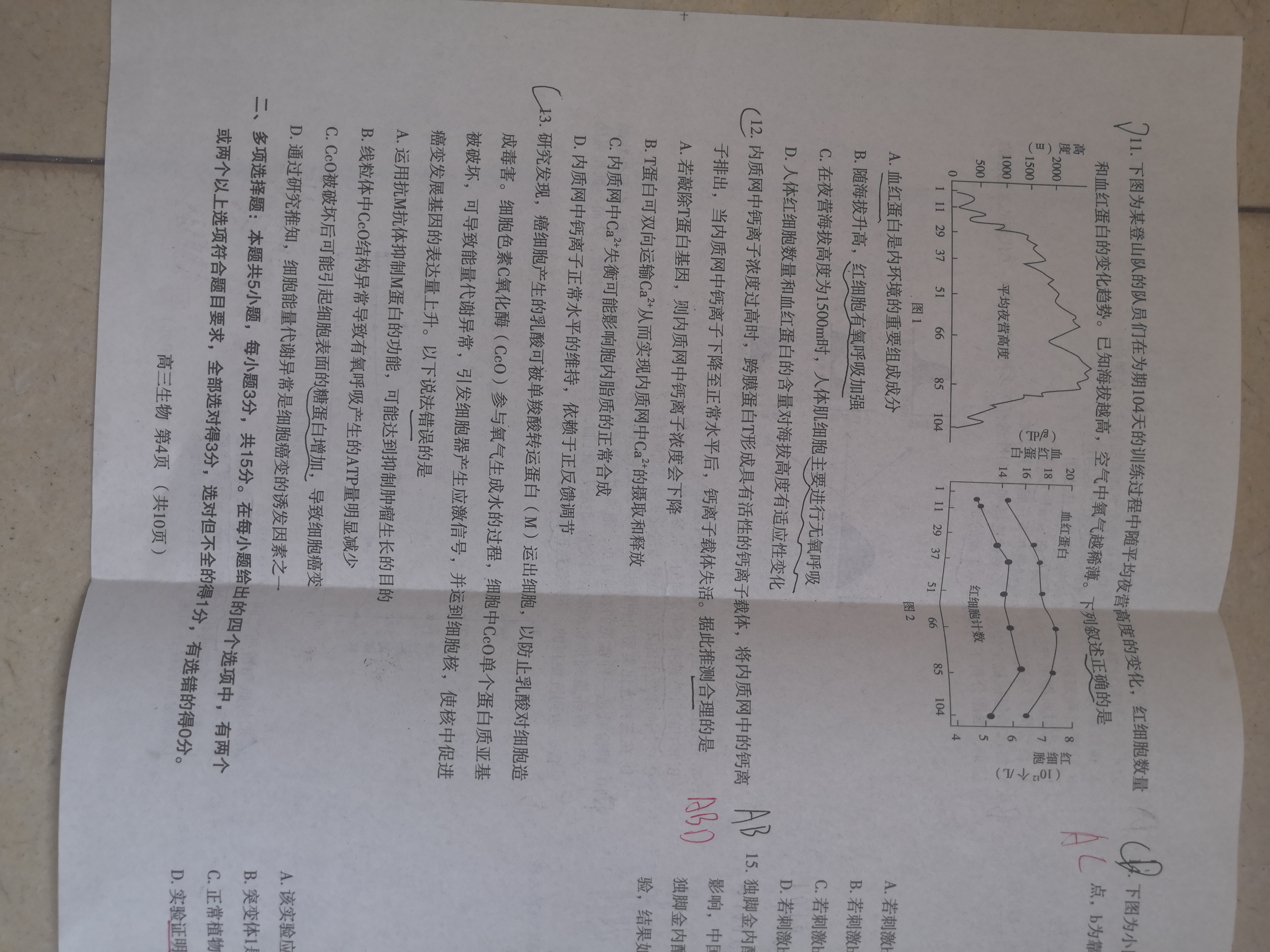 江西省2024届高三名校9月联合测评生物答案