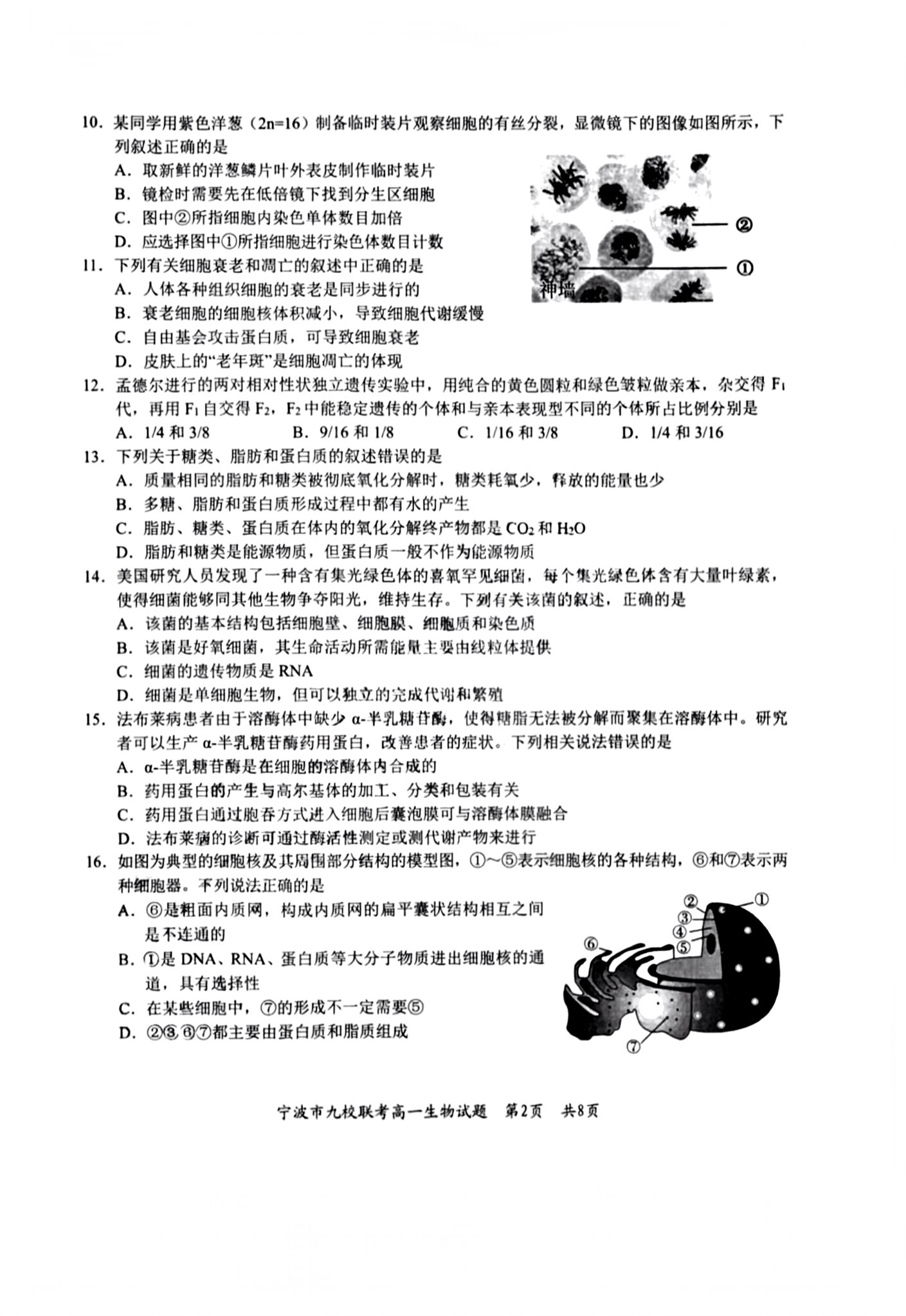 名校联考联合体2024届高三第二次联考生物试卷及参考答案