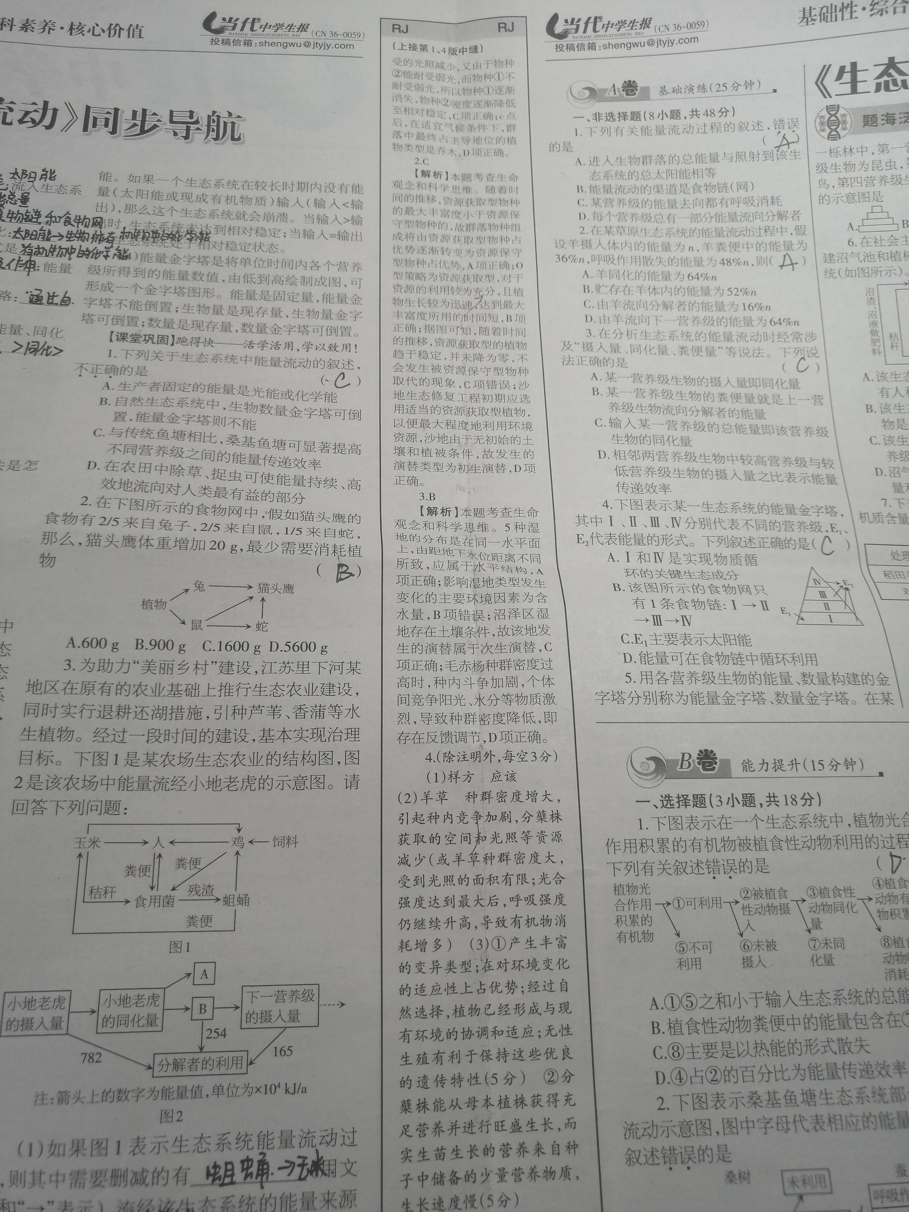 2023-2024学年安徽省九年级上学期阶段性练习(一)生物试题